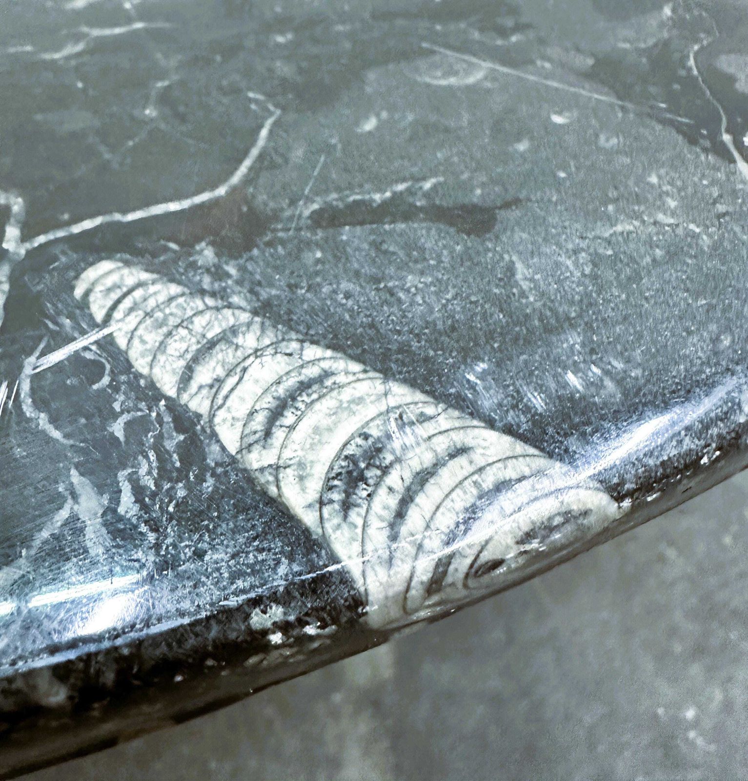 Fossil Stone Coffee Table On Plexiglass Cross Base, In The Style Of Heinz Lilienthal, 1970s photo vinterior