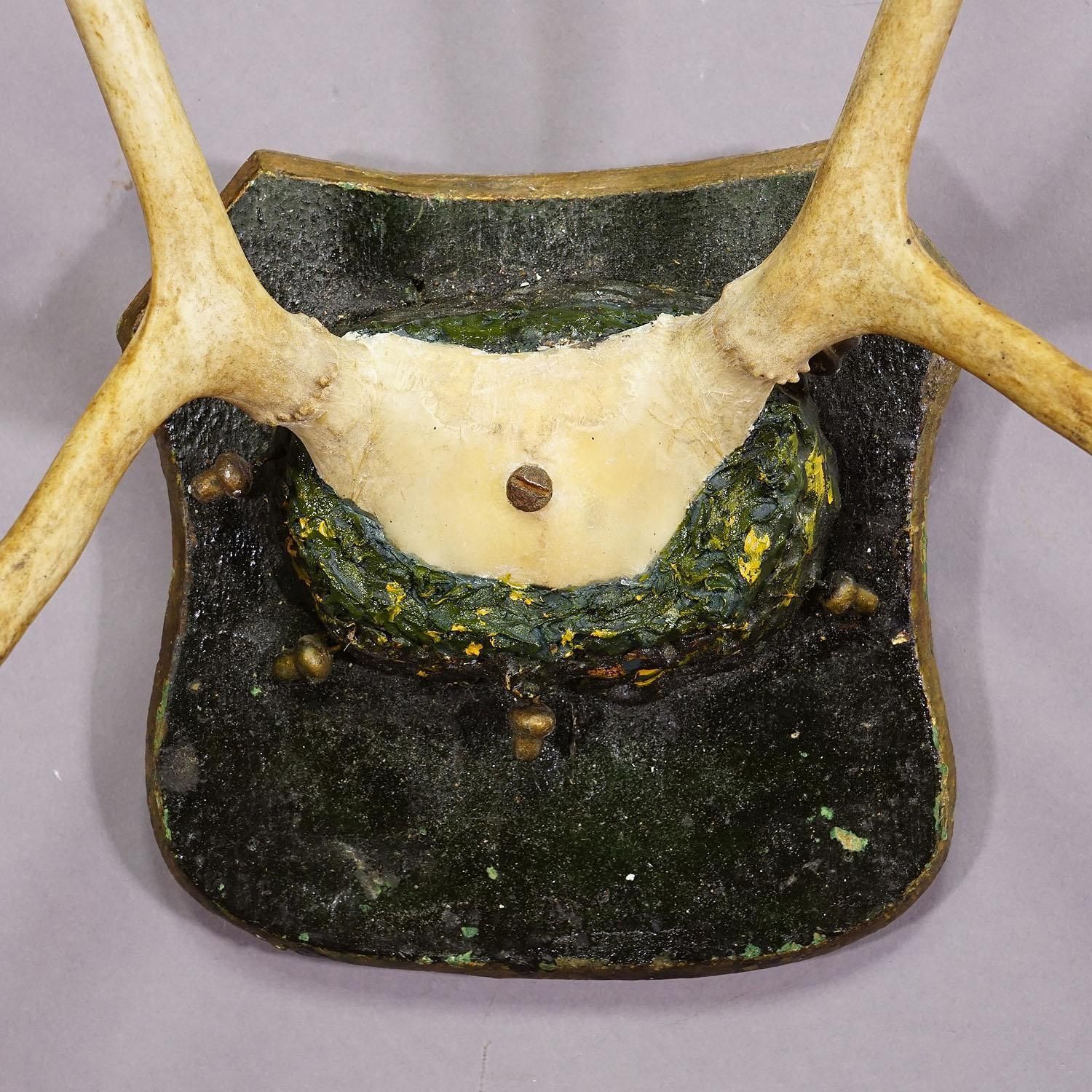 Antique Reindeer Antler Mount Taxidermy Cabin Decor Skull Antlers photo 286.0