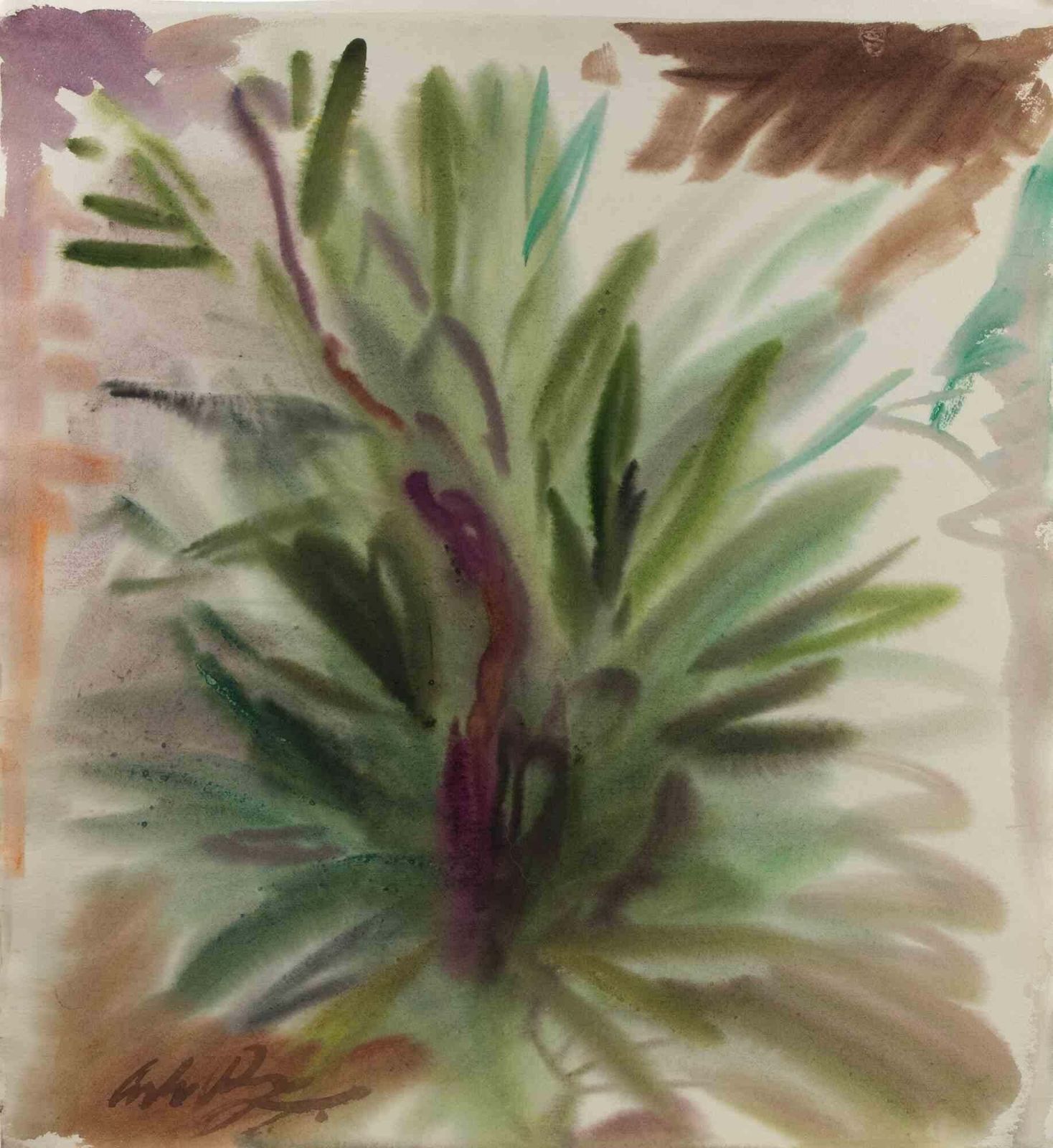 Carlo Ravagnanplant   Drawing By Carlo Ravagnan   1960s1960s