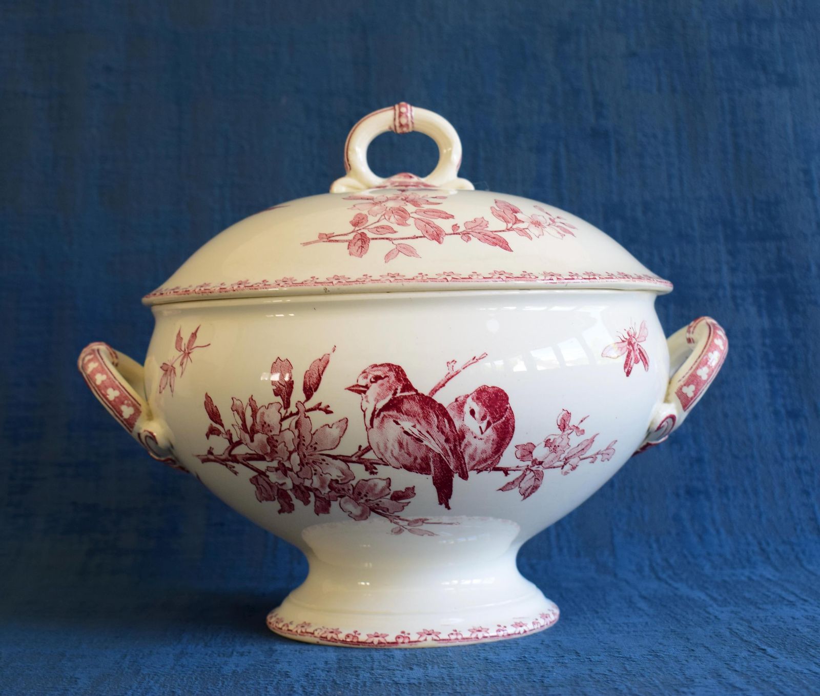 Sarreguemines Red Favori Soup Tureen, Antique French Birds Ironstone photo Home Decor