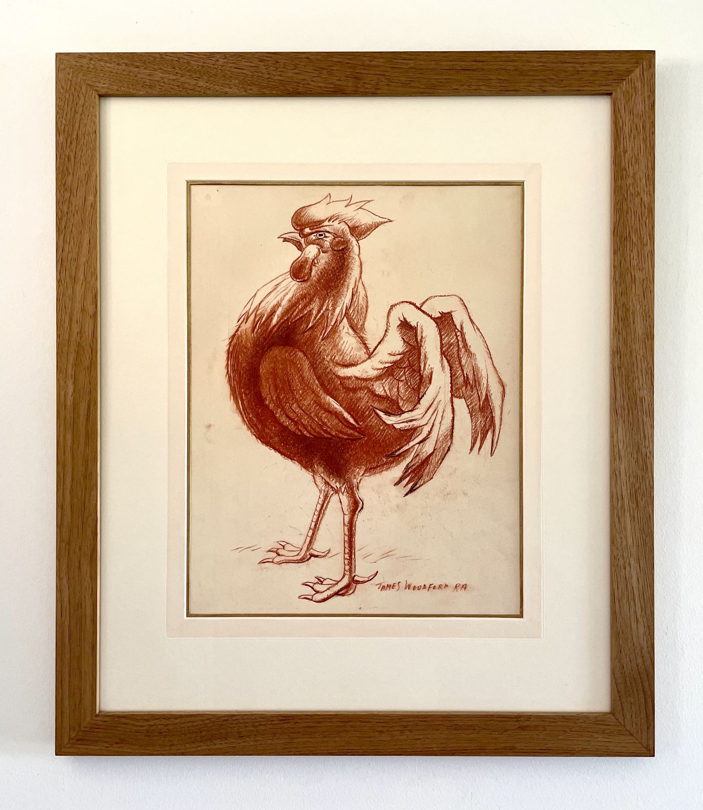 James Woodford   Cockerel   20th Century Red Chalk Drawing