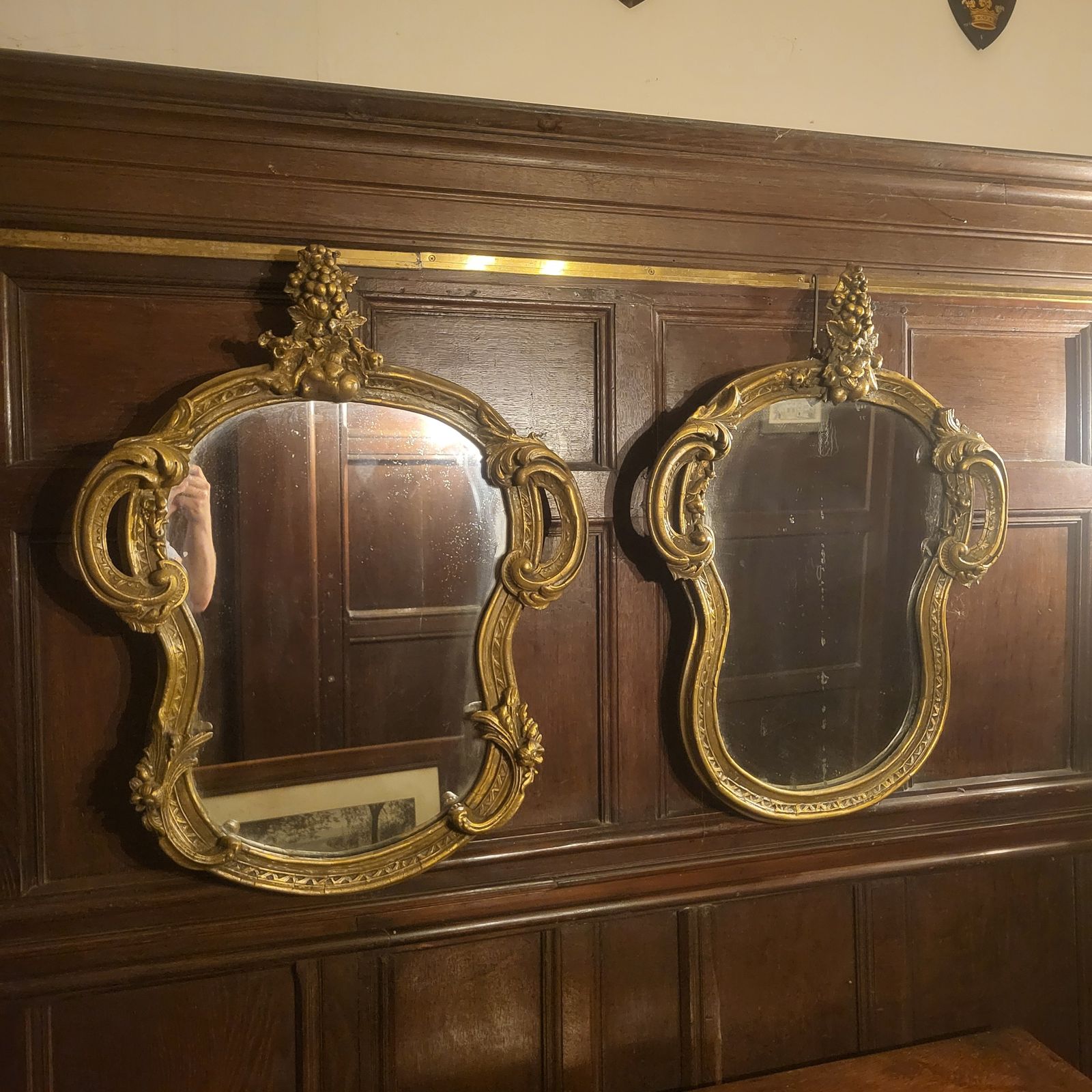Pair Of French Gilt Composite Mirrors
