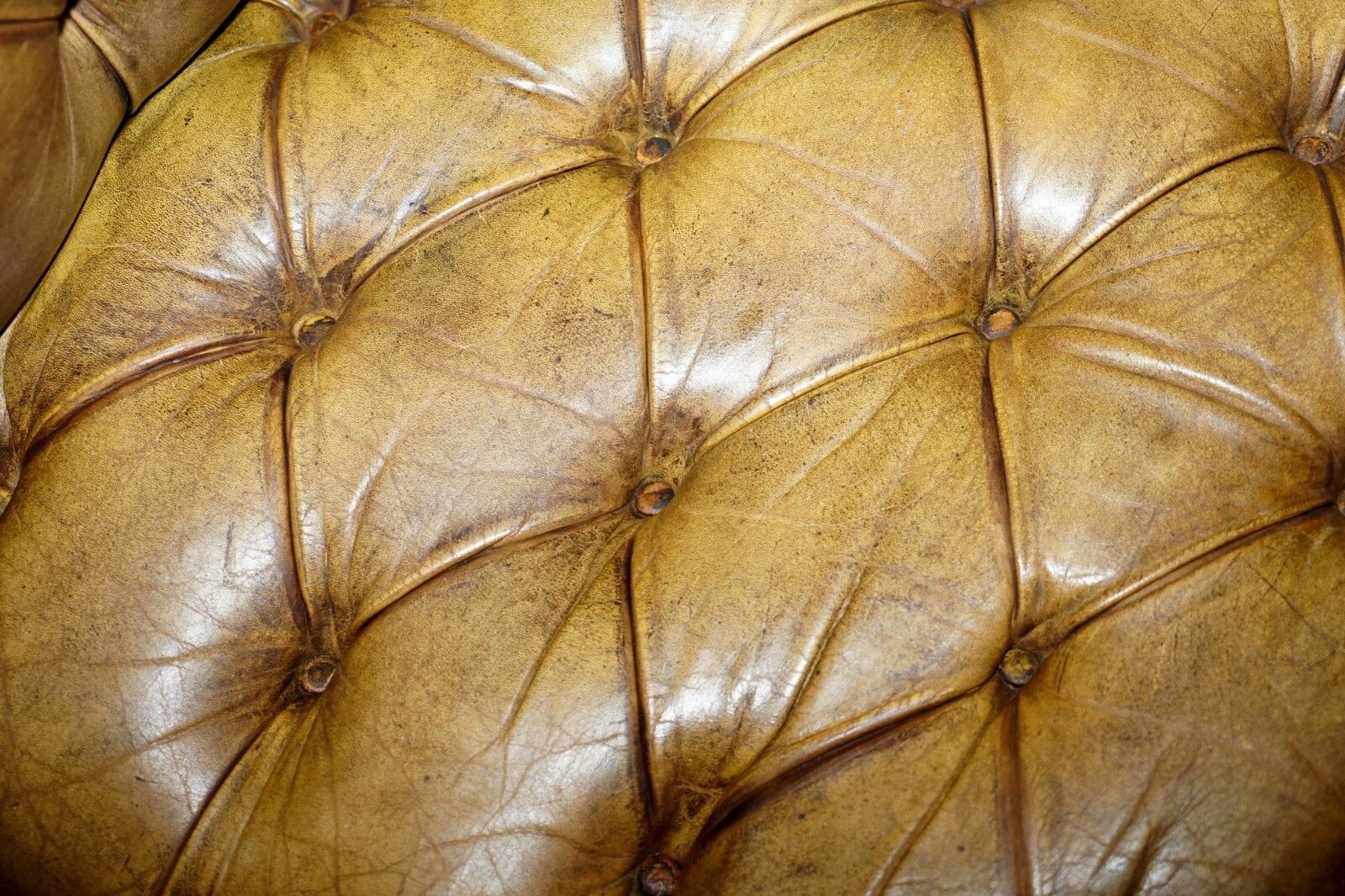 Furniture Victorian Horse Hair Green Hand Dyed Leather Chesterfield Fully Button Base Sofa photo