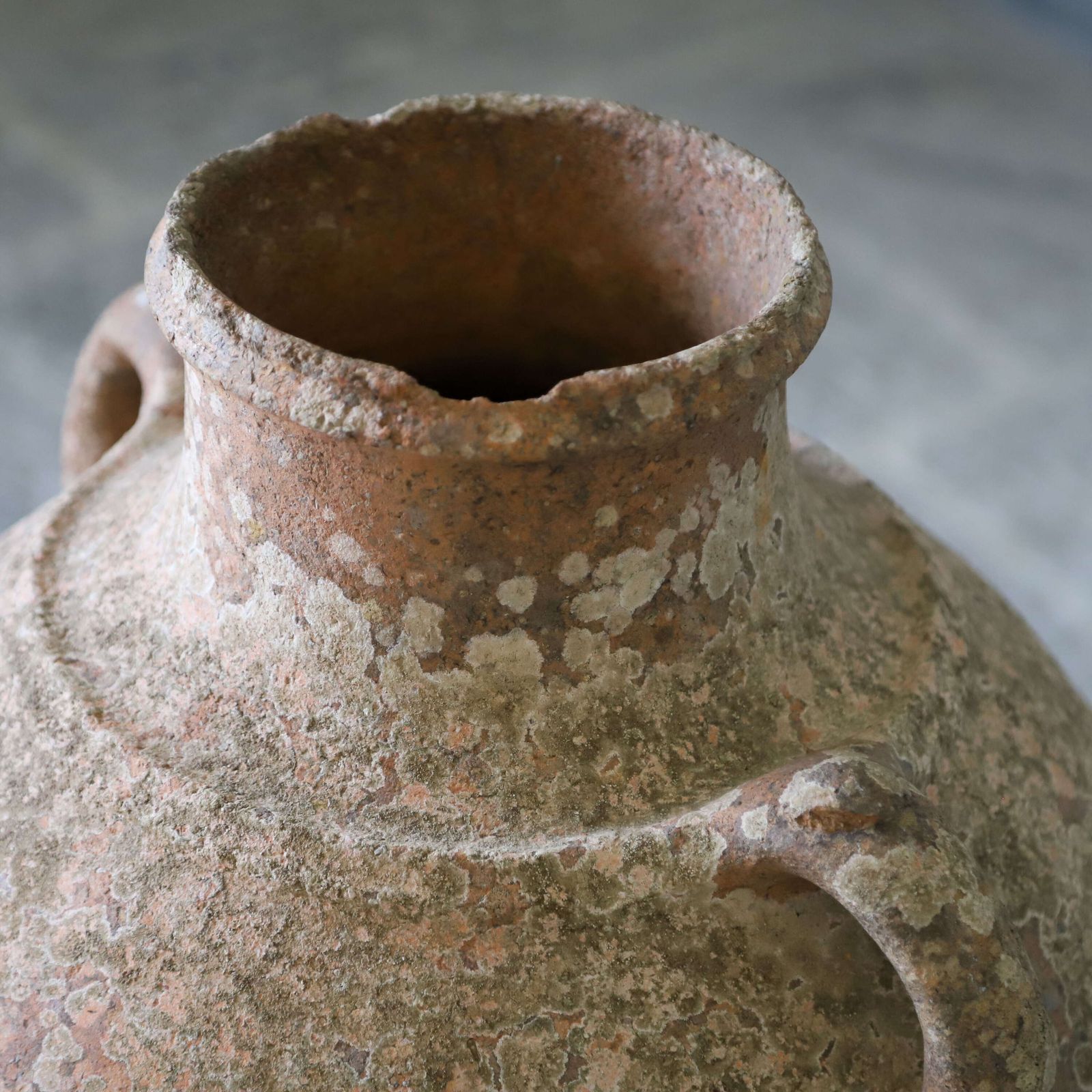 Large 19th Century Antique Rustic Pottery French Terracotta Olive Pot photo vinterior