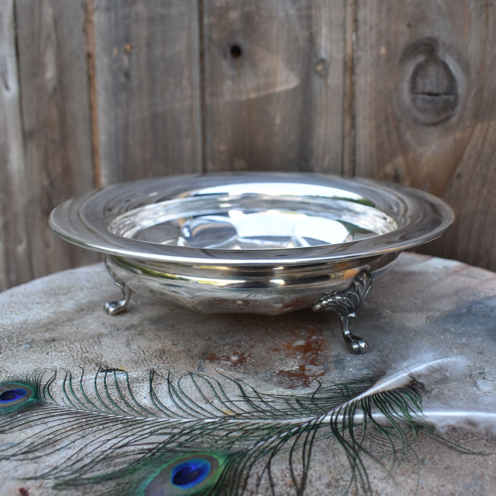 Antique 19th Century Robert Pringle Silver Plate Fluted Footed Bowl Tazza Dish photo buy