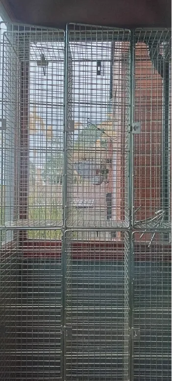 Vintage Old School Galvanised Steel Cage Lockers (6 Compartments) 5 Available photo furniture