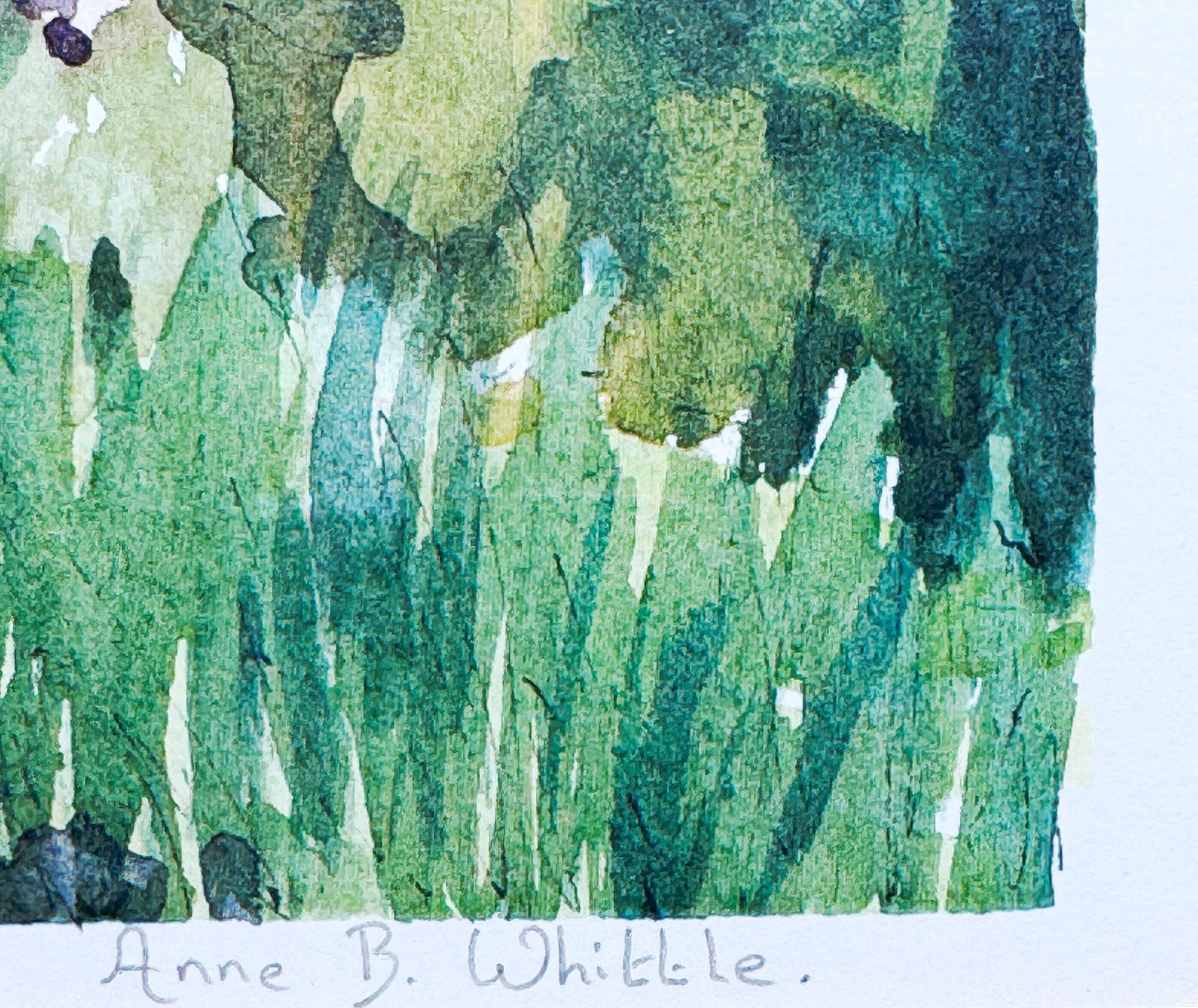 The Secret Garden Pencil Signed Limited Edition Contemporary Print By Anne Whittle photo vinterior
