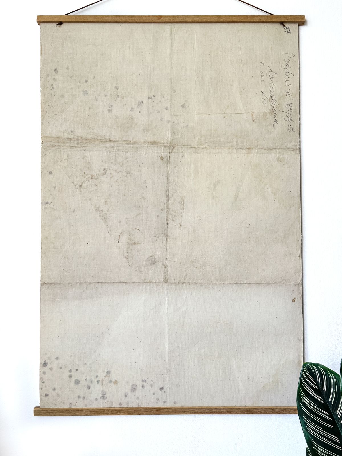 122.0 1978 Original Soviet Vintage Large Biology School Chart "Individual Development Of Chordates" Paper On Linen, Ussr Mid Century Educational Poster photo