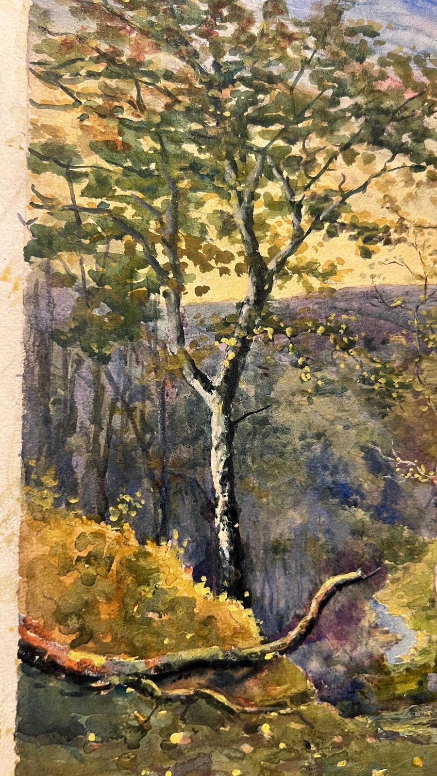 Early 1900s Edwardian Watercolour Landscape Picture – Sunset Hills And Woodland Walk photo vinterior