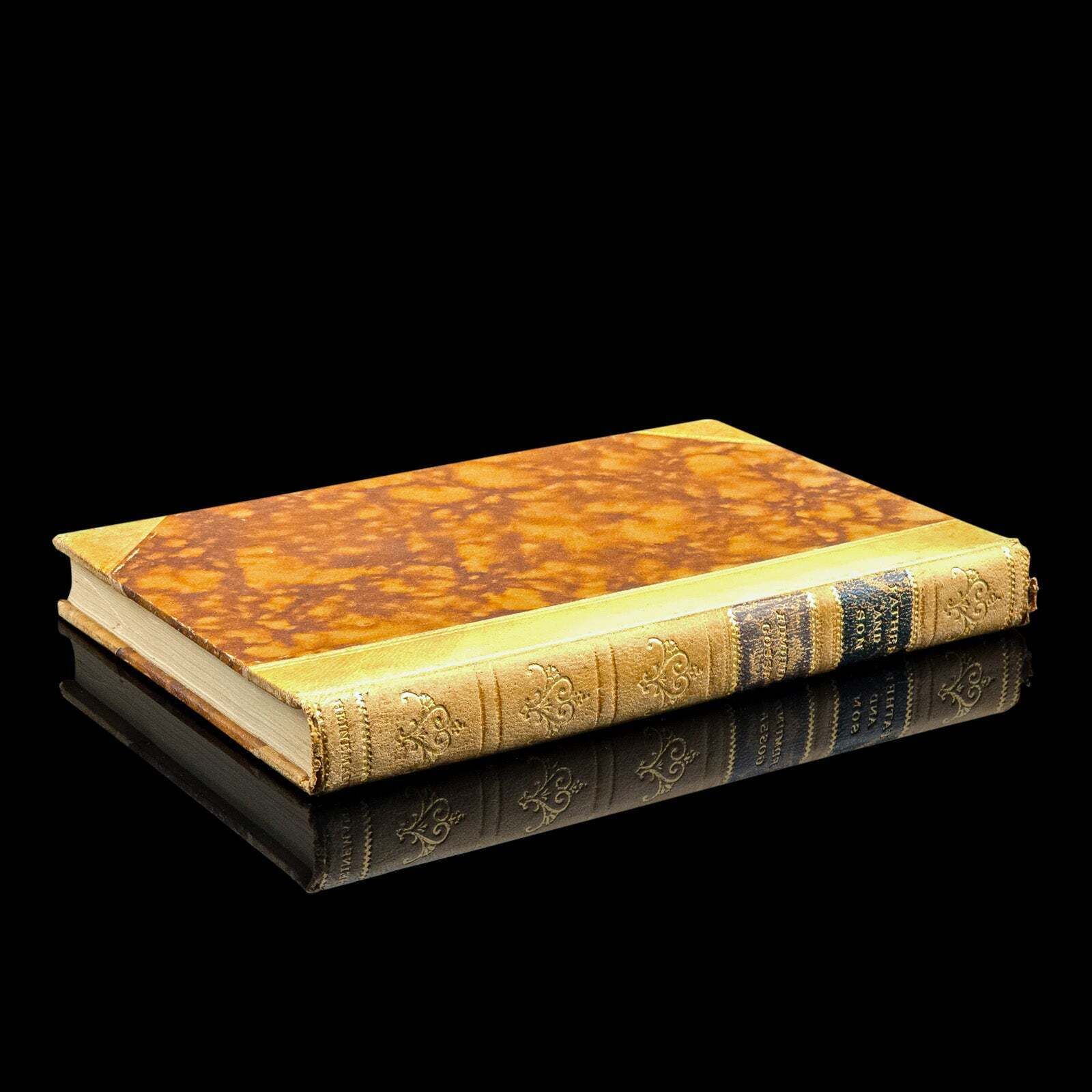 Vintage Book, Father And Son, Edmund Gosse, Memoir, Literary Classic, Circa 1935 photo furniture