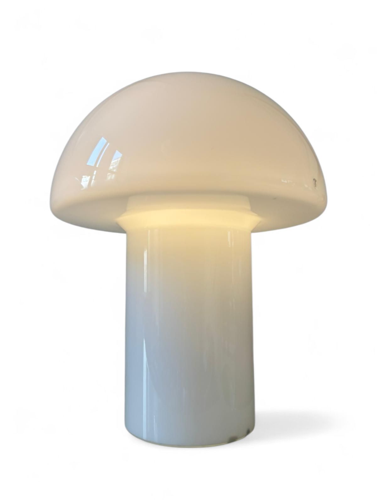 Lido Lamps From Peill & Putzler, 1960s, Set Of 2 photo Lighting