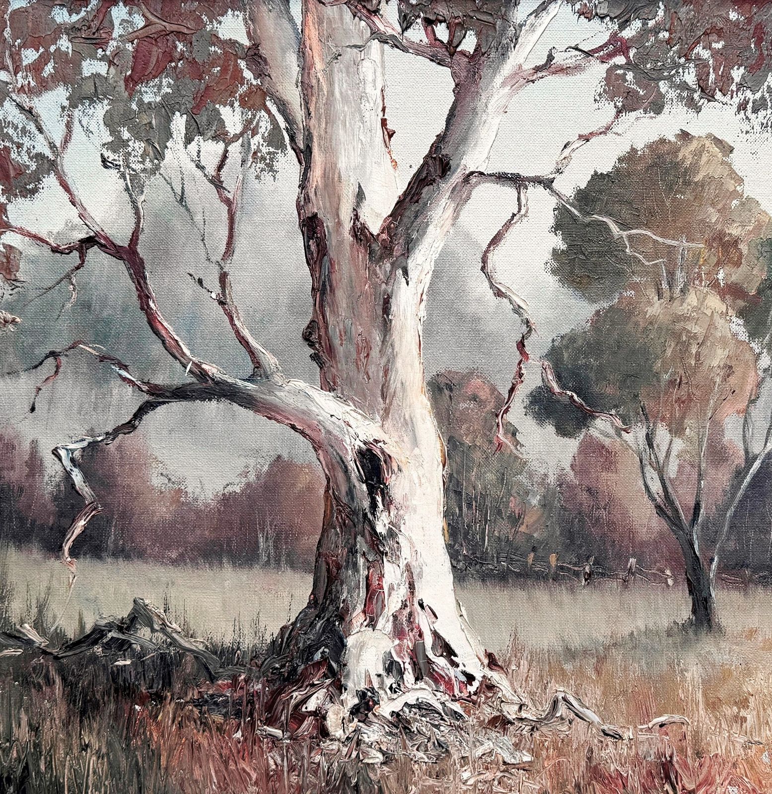 The White Gum Australian Oil On Board Painting By Nan Rogers photo Art