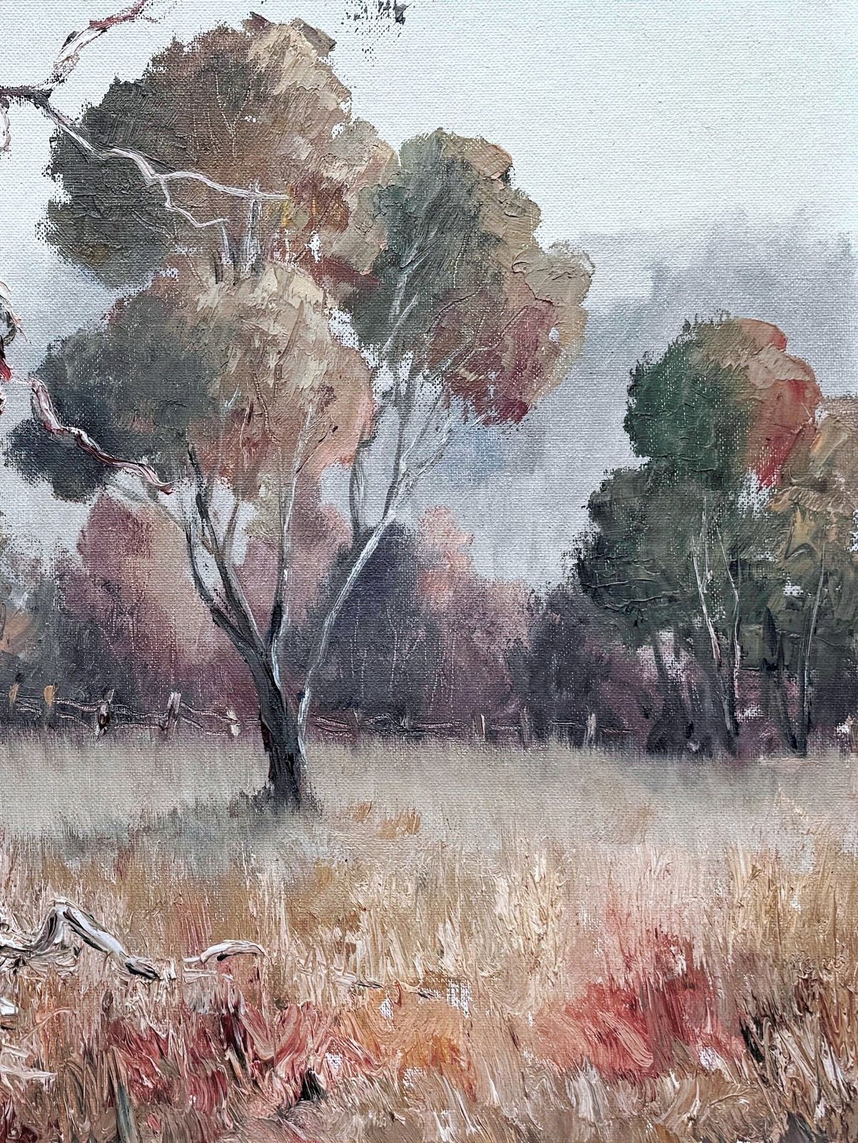 The White Gum Australian Oil On Board Painting By Nan Rogers photo 160.0