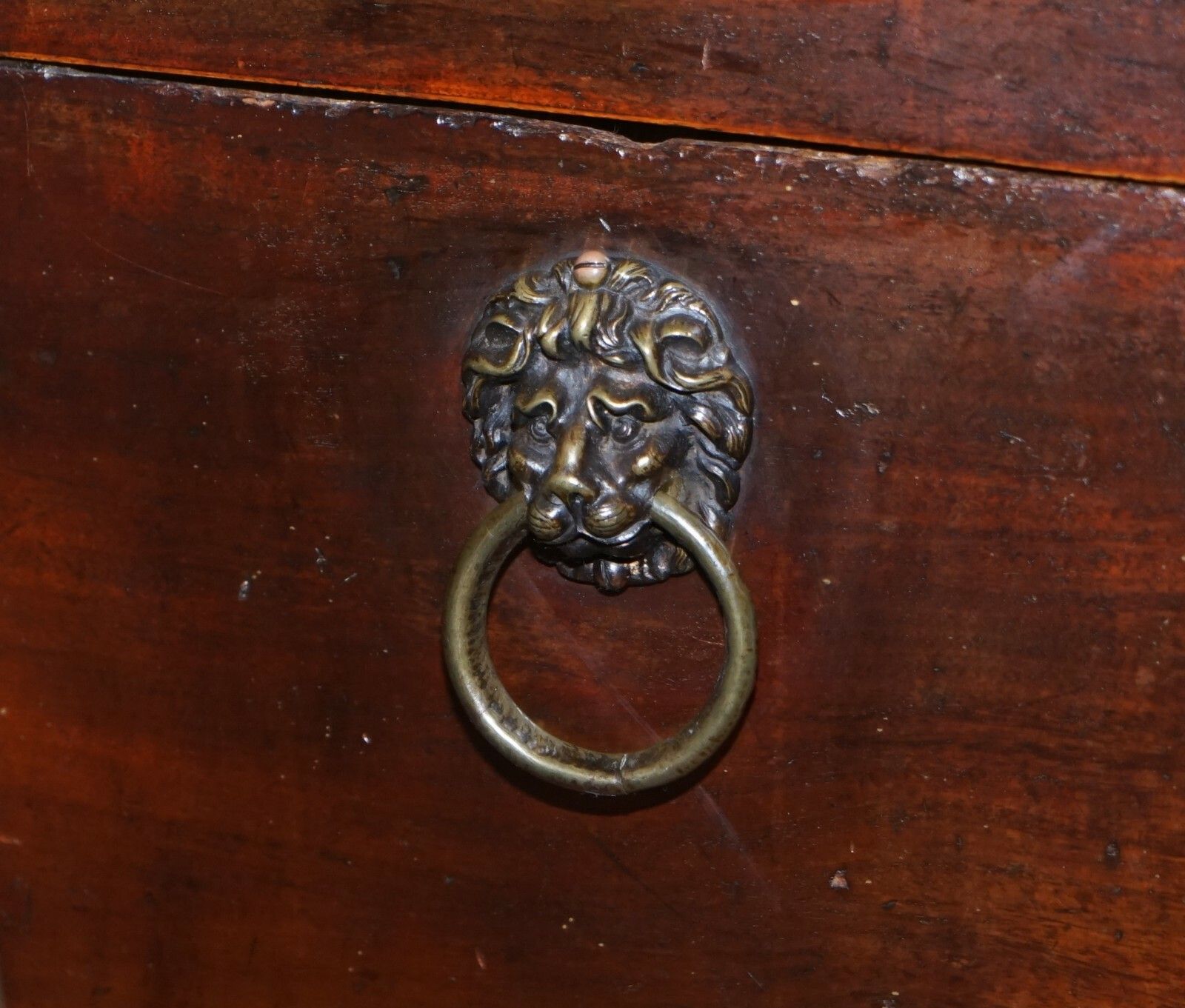Original Regency Circa 1815 Mahogany Wine Cooler Lion Brass Handles Paw Feet photo buy