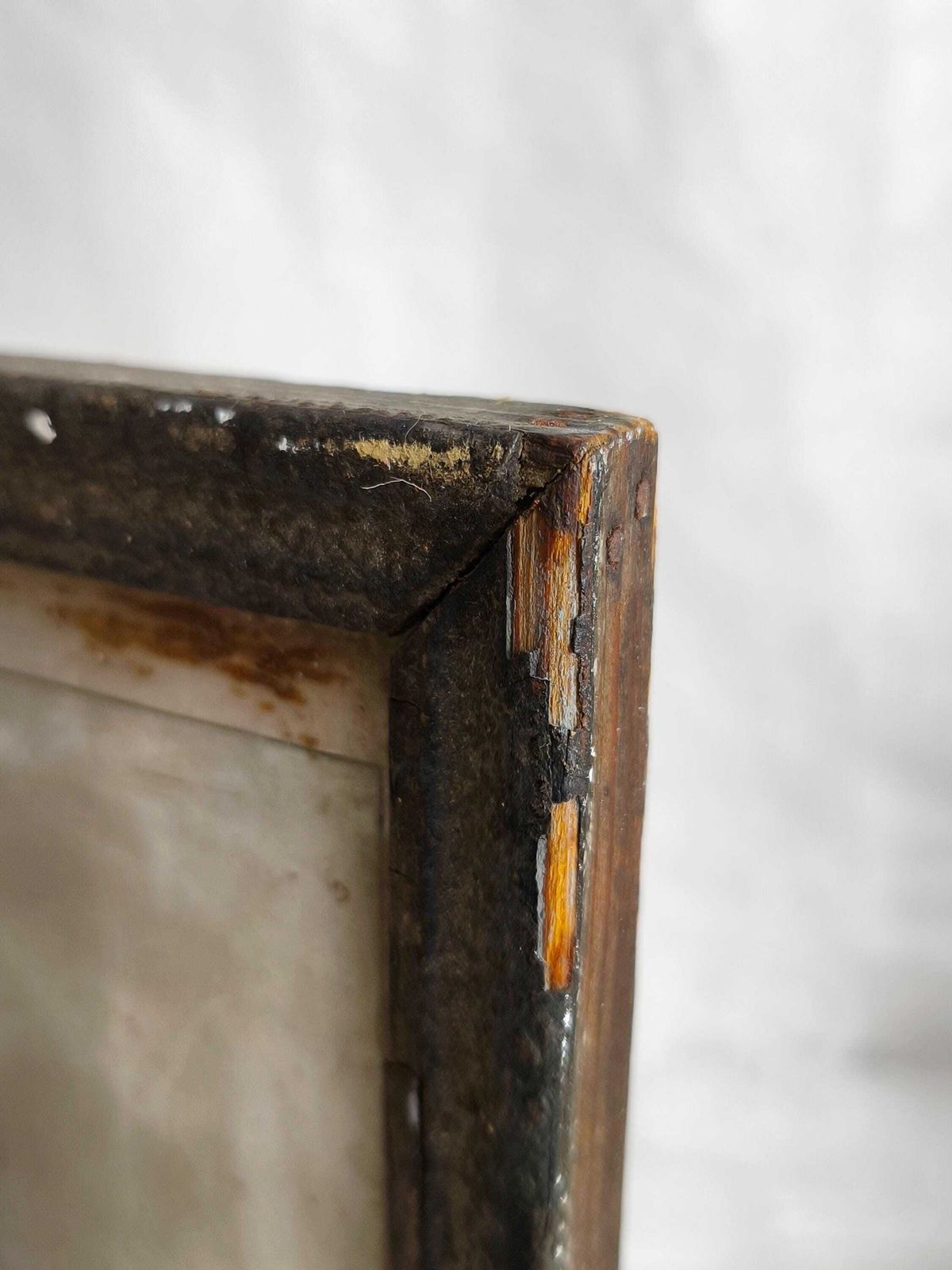 photo furniture Antieke Prent Roofvogels, Valk Lithografie: Vogelillustratie Jaren 1870, Metalen Lijst