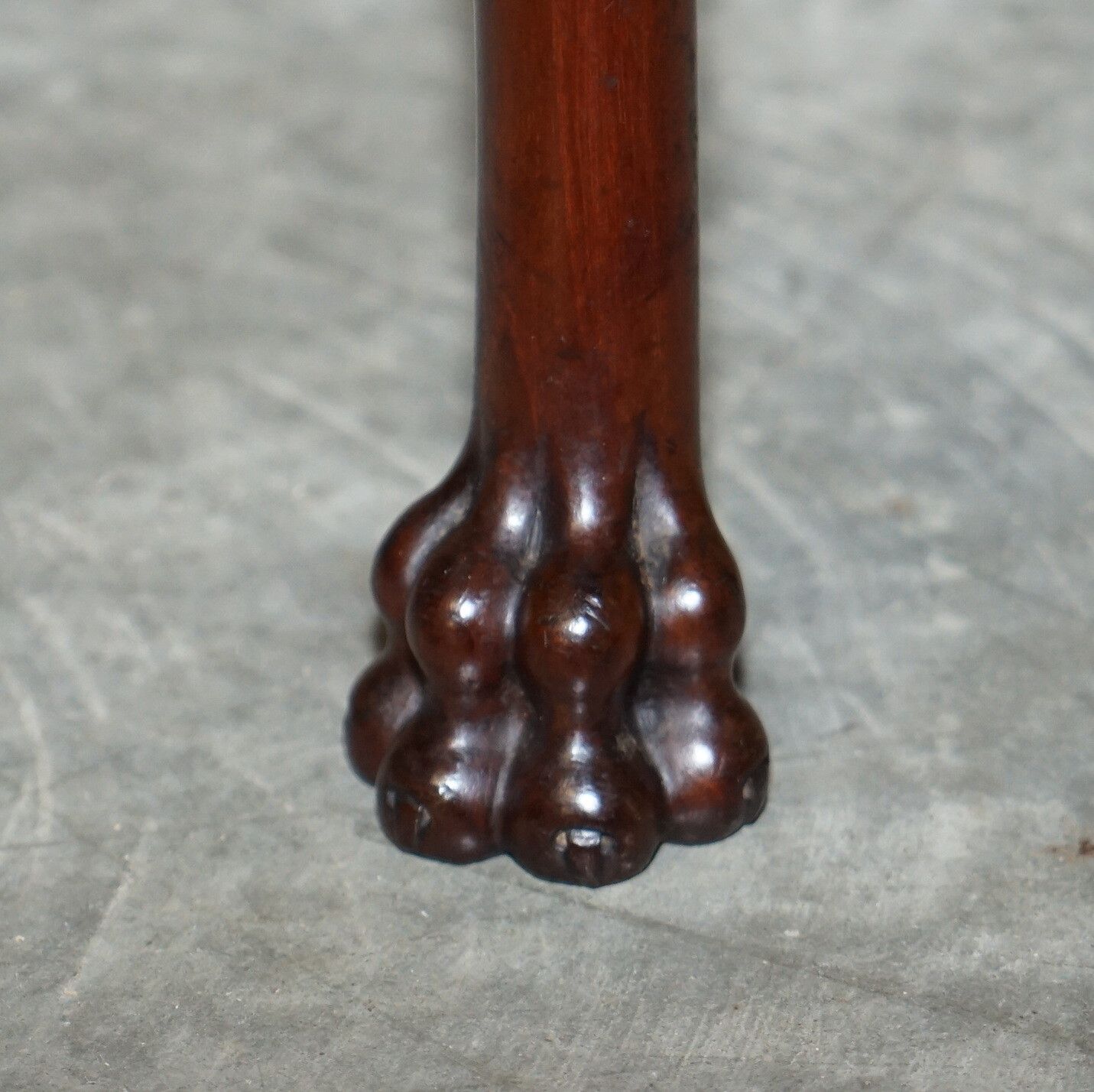 photo furniture Pair Of Antique Honduras Mahogany English Hand Carved Lion Hairy Paw Feet Chairs