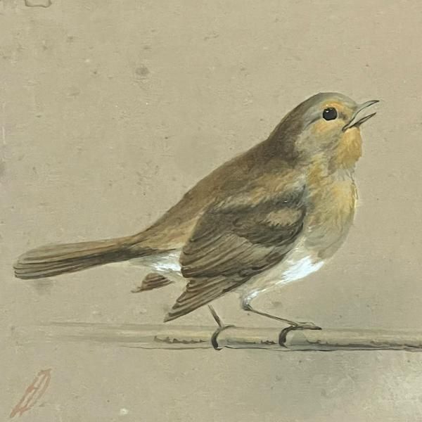 Watercolour Of Robin And The Blue Tits By Sculptor Frank Dobson photo for sale