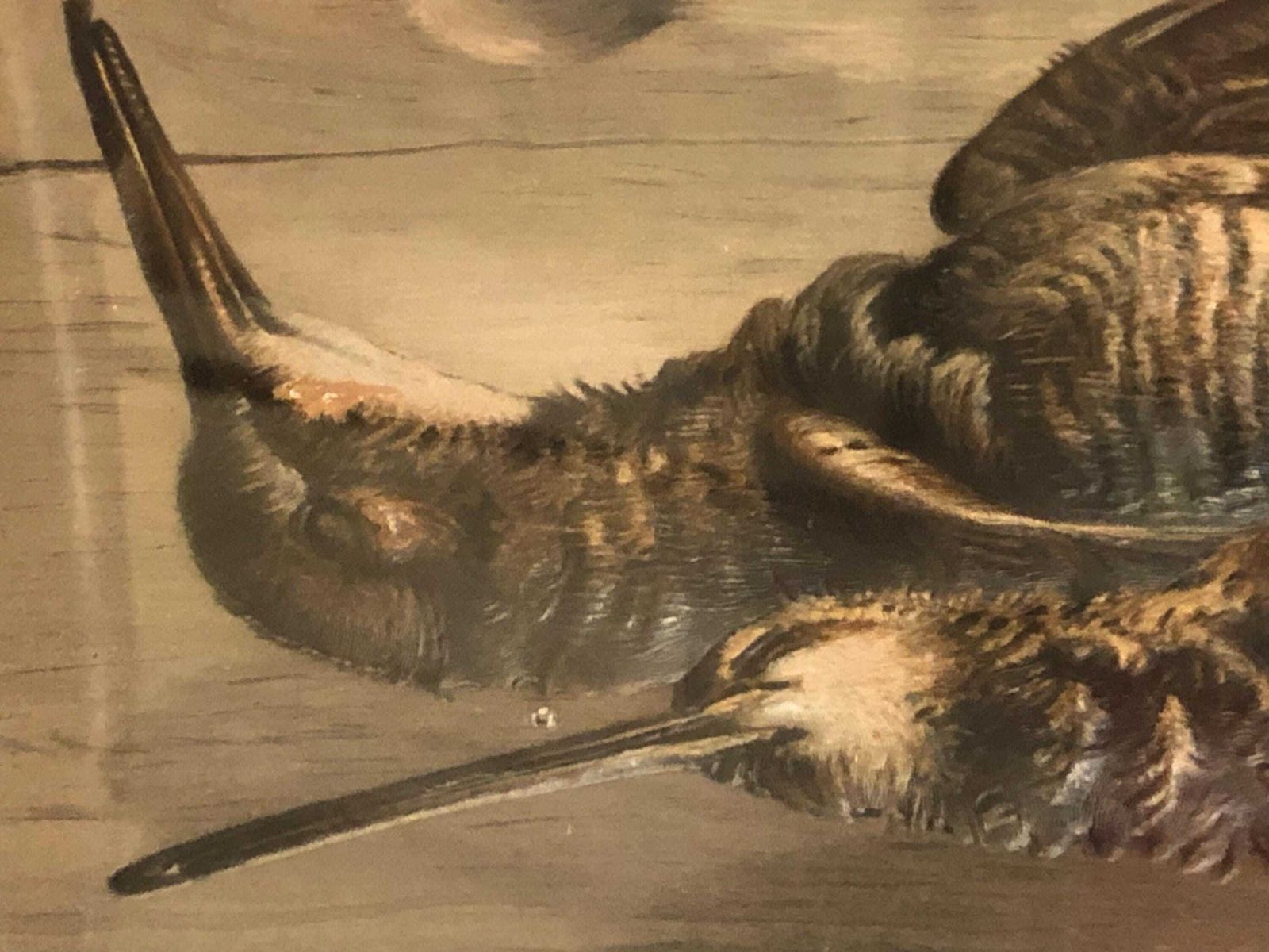 Late 19th Century Trompe L Oeil Study " Woodcock And Snipe " photo vinterior