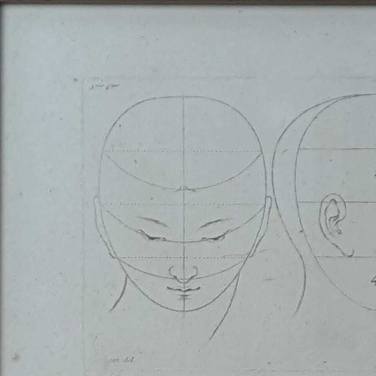 Antique 18th Century French Engraving By Parizeau & Carré, Original Anatomical Art Study Of Face Proportions photo vintage
