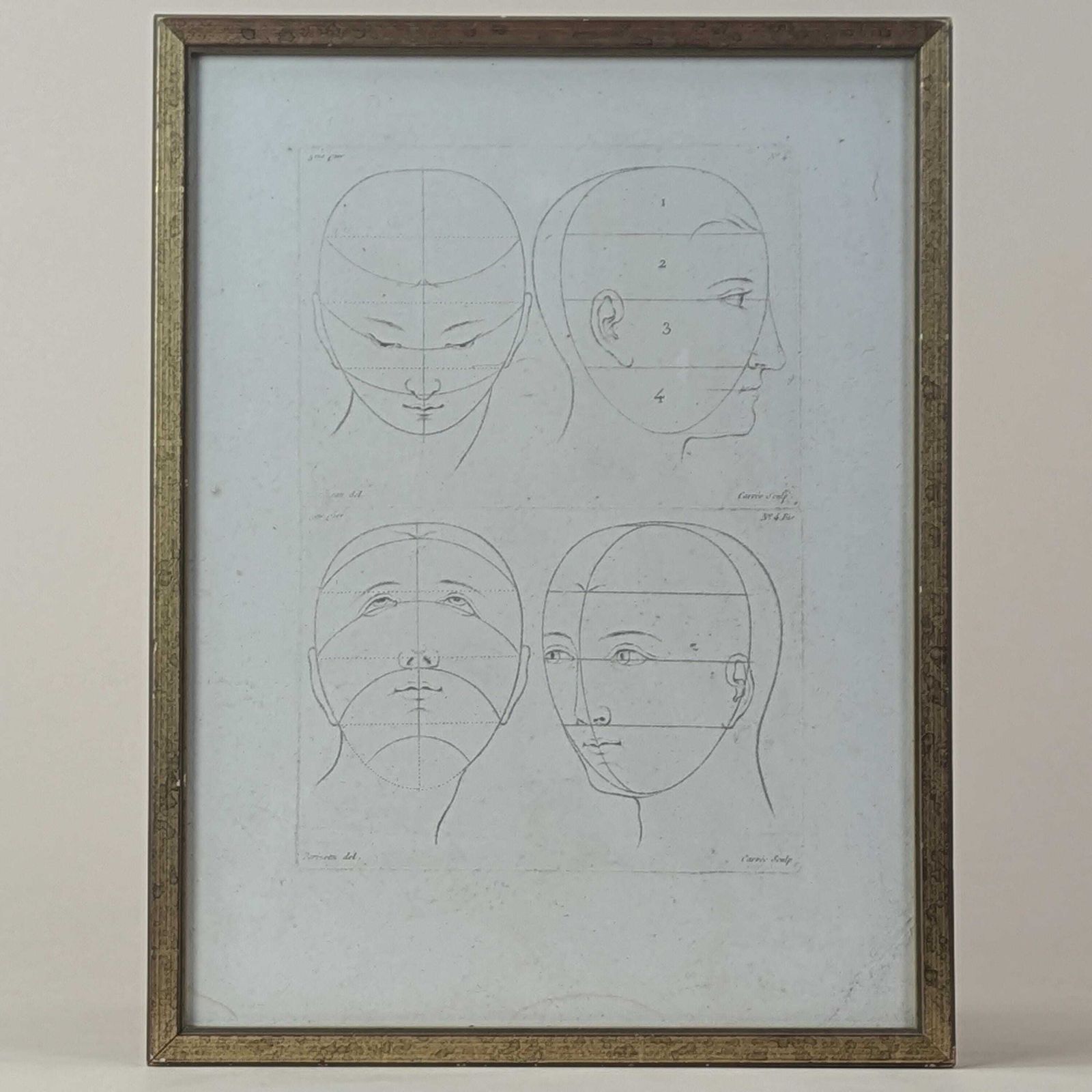 photo furniture Antique 18th Century French Engraving By Parizeau & Carré, Original Anatomical Art Study Of Face Proportions