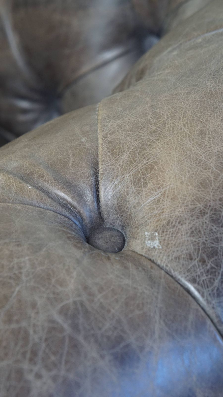 photo buy Ruime Grijze Koehuidenleren Chesterfield Club Fauteuil In Engelse Stijl Op Wieltjes