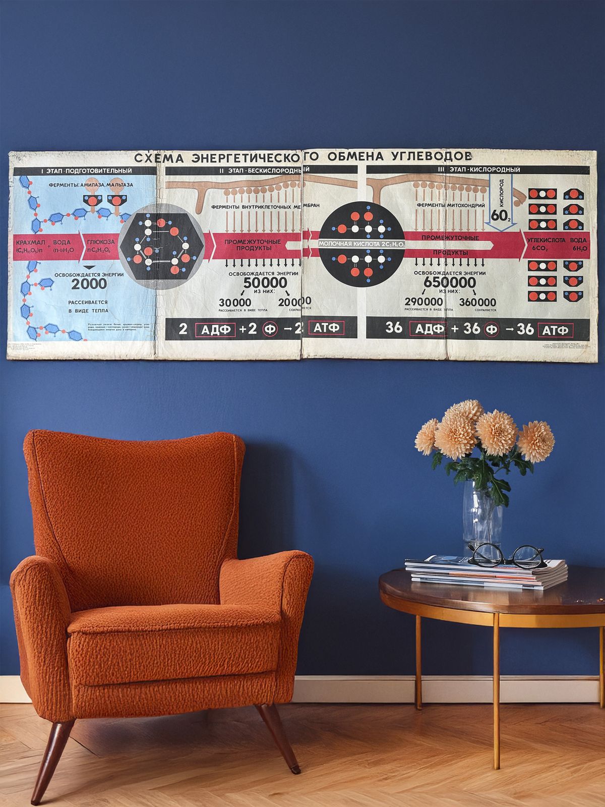 1968 Original Soviet Vintage Large Biology School Chart "Carbohydrate Metabolism" Paper On Linen, Rare Ussr Mid Century Educational Poster