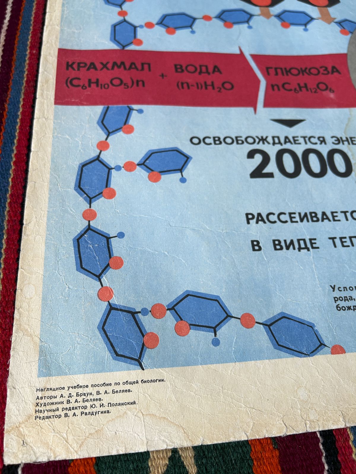 1968 Original Soviet Vintage Large Biology School Chart "Carbohydrate Metabolism" Paper On Linen, Rare Ussr Mid Century Educational Poster photo furniture