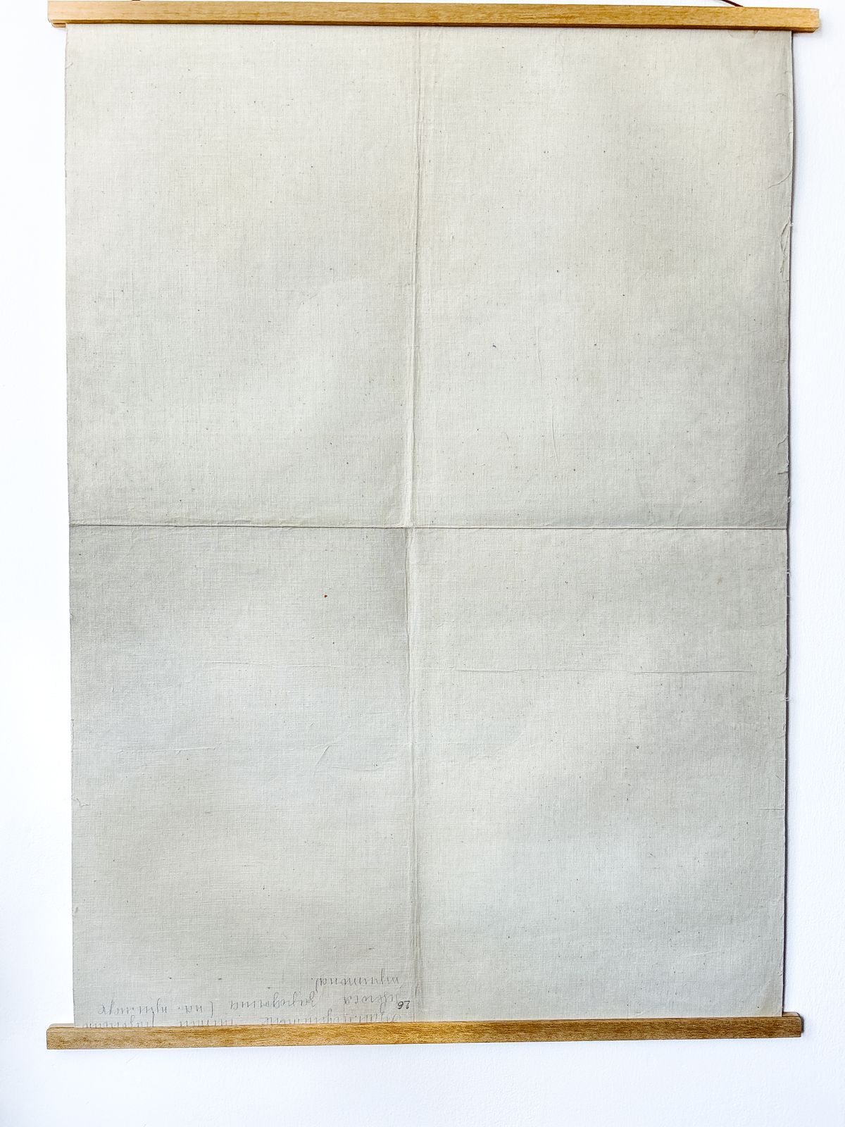 photo vinterior 1968 Soviet Biology School Chart "Interaction Of Parts Of A Developing Embryo On Example Of Triton" Paper On Linen, Original Ussr Mid Century Educational Poster