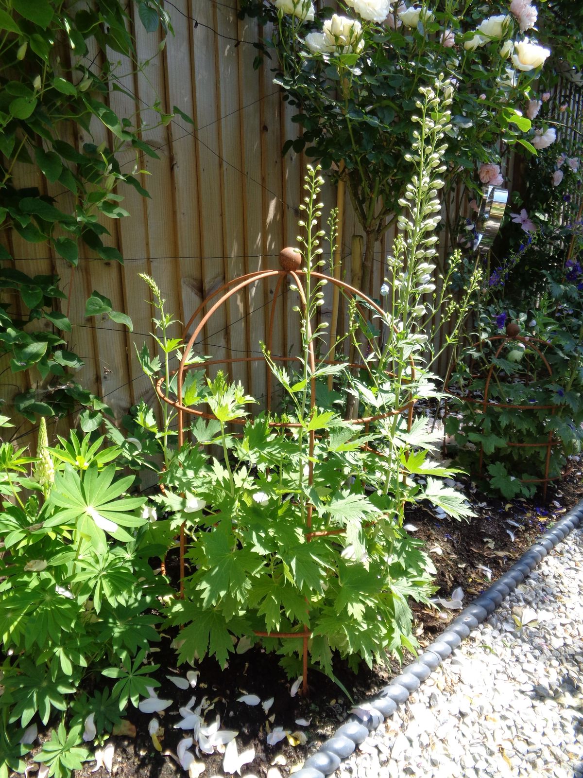 Garden Metal Round Obelisk Plant Support   Large photo for sale