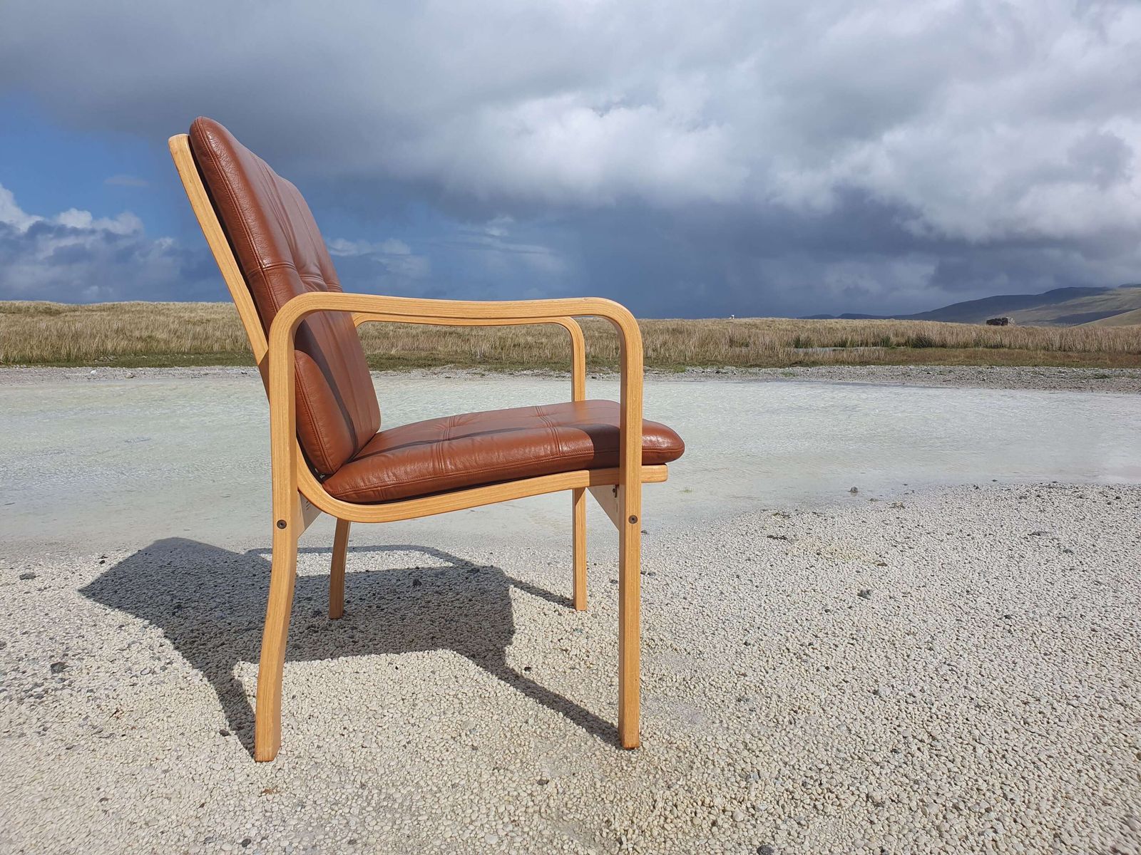 Yngve Ekstrom For Skandi Form, Sweden. A Bentwood Armchair With Leather Upholstered Pads. photo vinterior