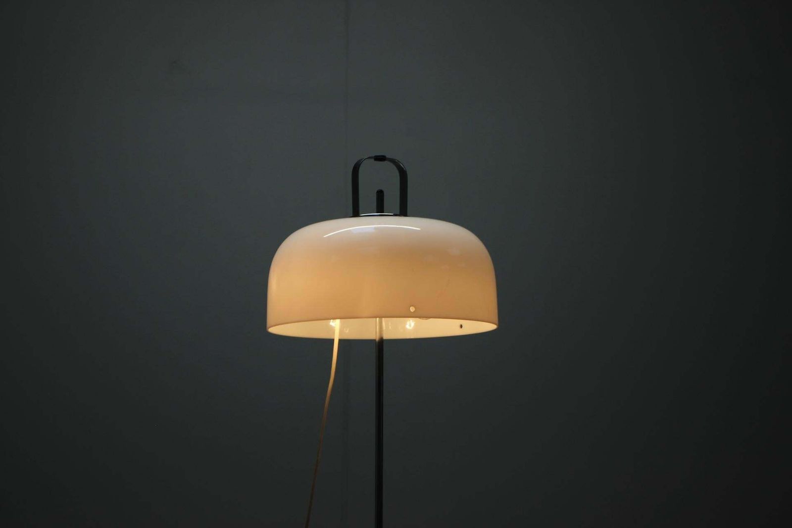 photo furniture Mid Century Floor Lamp Medusa By Luigi Massoni For Guzzini, 1970s, Italy