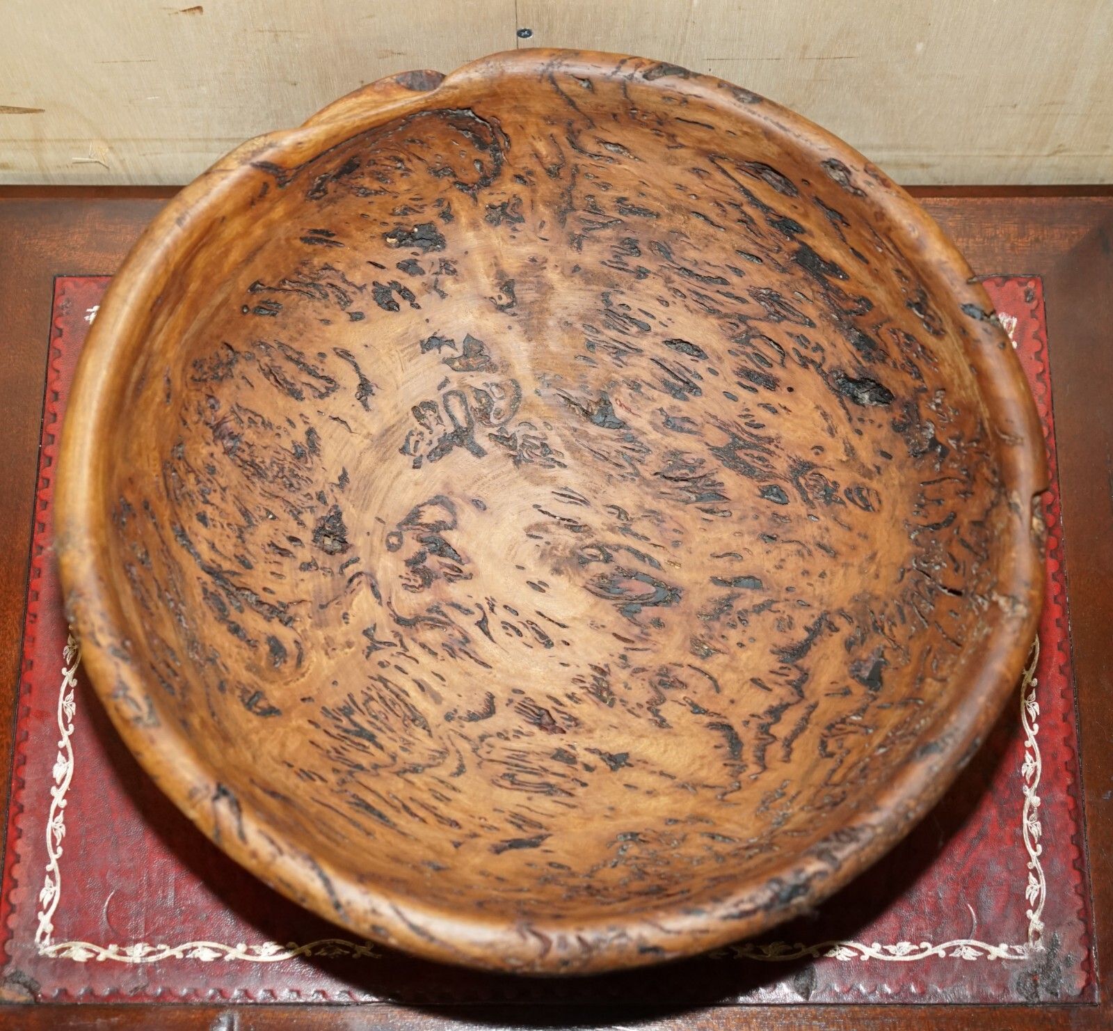 Extra Large Heavily Burred Eucalyptus Bowl Signed B Moss For Fruit Etc Must See photo buy