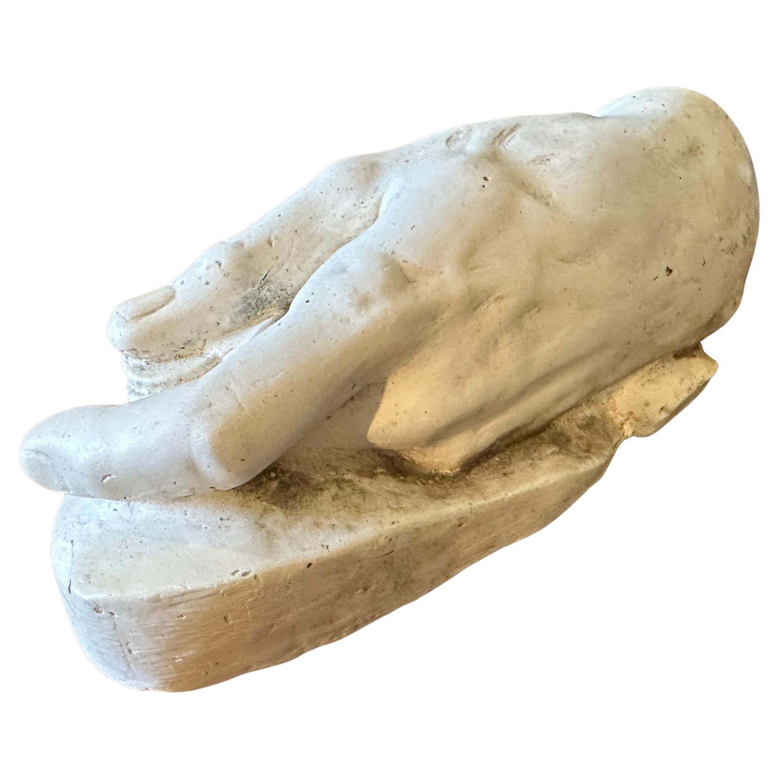 Authentic Italian 1950s Plaster Anatomical Hand Study Of A Hand Holding Coins photo furniture
