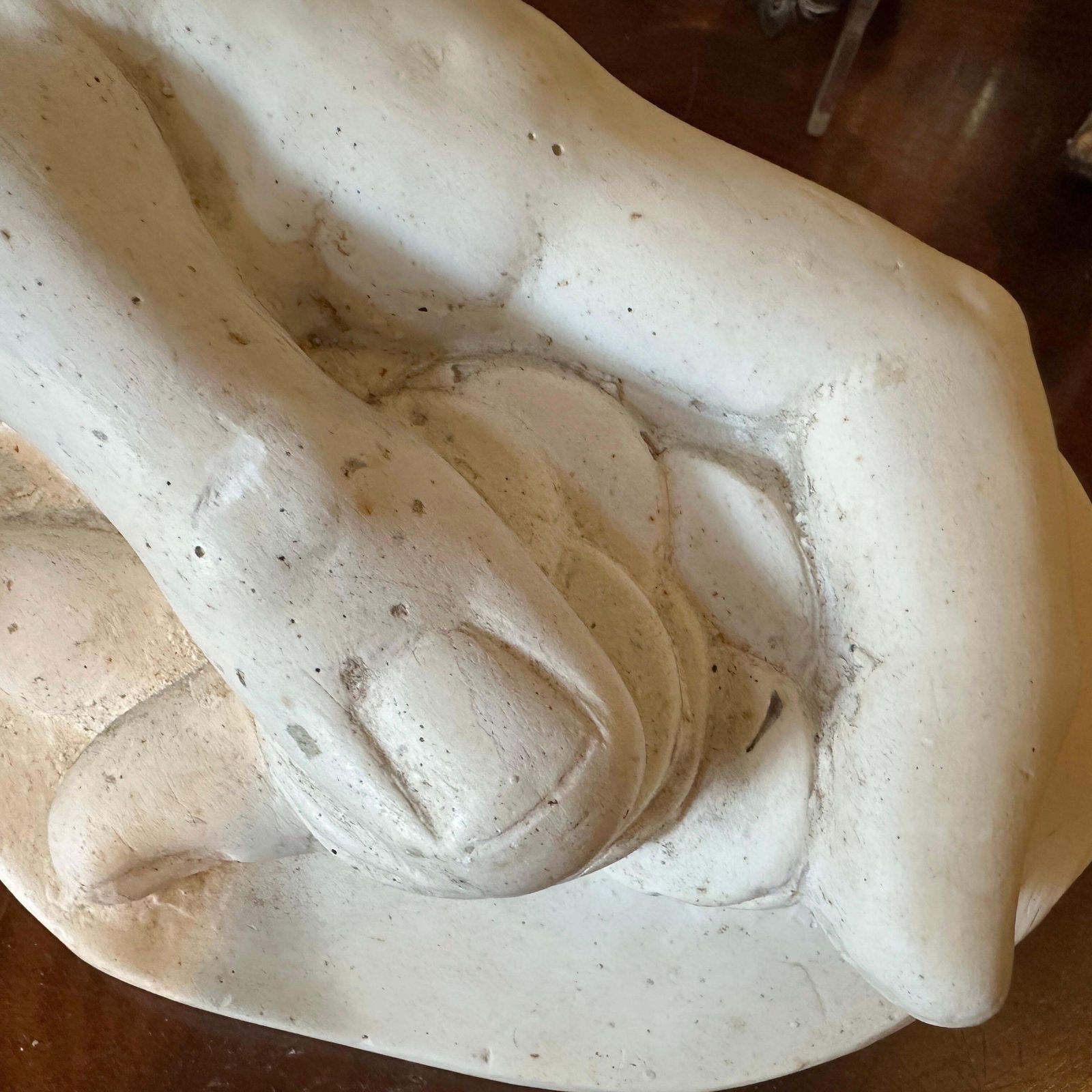 Authentic Italian 1950s Plaster Anatomical Hand Study Of A Hand Holding Coins photo buy