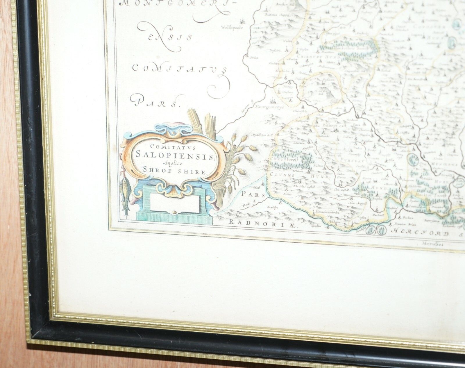Staffordshire 1645 Hand Coloured Antique Print Staffordiensis Comitatvs Map photo for sale