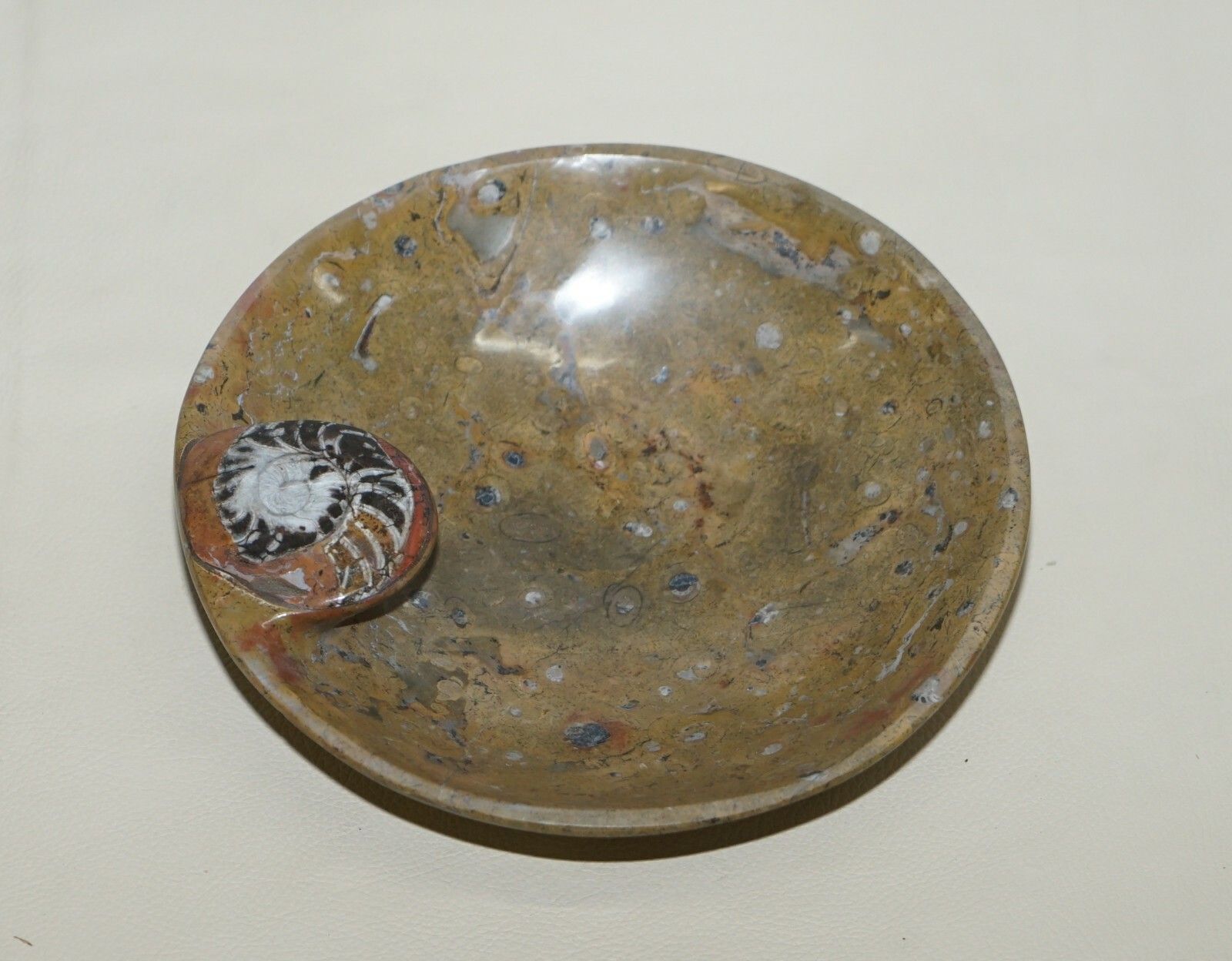 1 Of 4 Sublime Moroccan Ammonite Atlas Mountains Fossil Bowls Marble Finish photo furniture