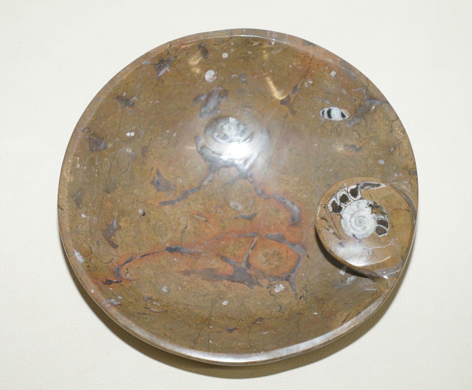 1 Of 4 Very Rare Moroccan Ammonite Atlas Mountains Fossil Bowls Marble Finish photo for sale
