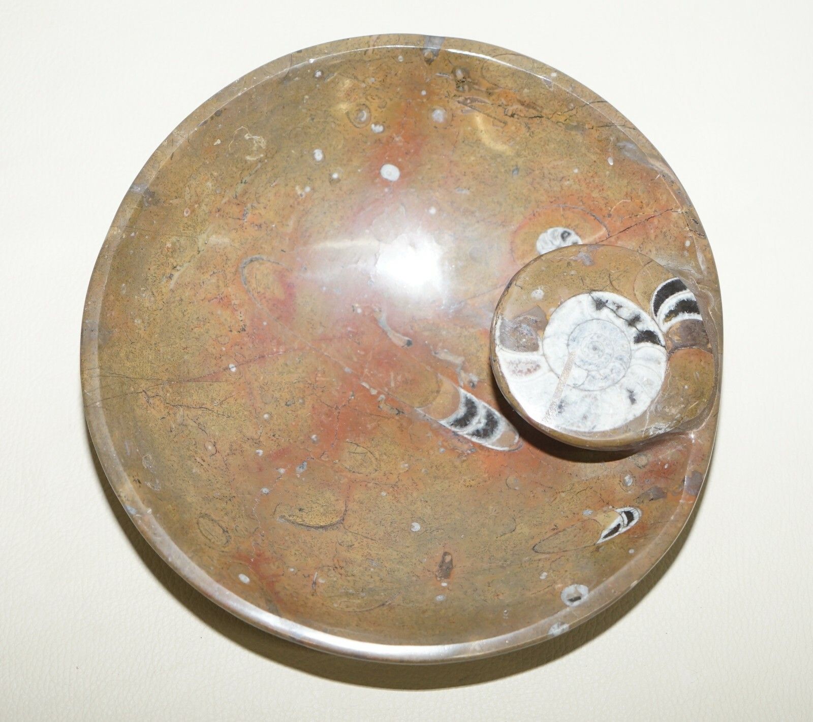 1 Of 4 Lovely Moroccan Ammonite Atlas Mountains Fossil Bowls Marble Finish photo 225.0