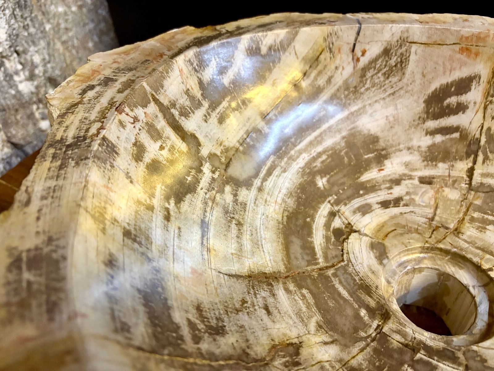 Modern Organic Petrified Wood Sink, Grey/ Brown/ Beige   Polished, Idn 2025 photo Home Decor