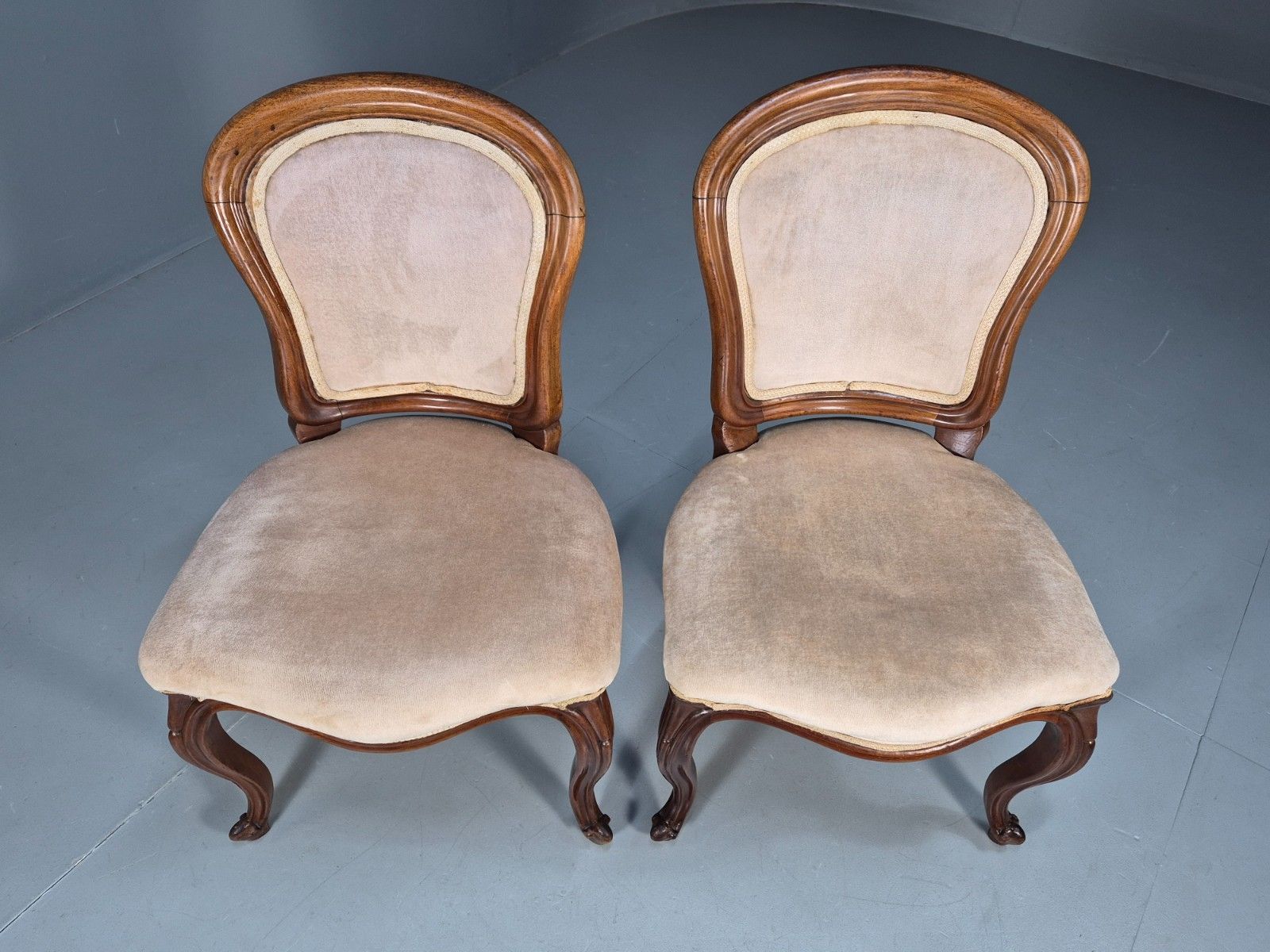 2 Antique Louis XV Style French Country Chairs Balloon Back  Eb10048 Vdin photo Furniture