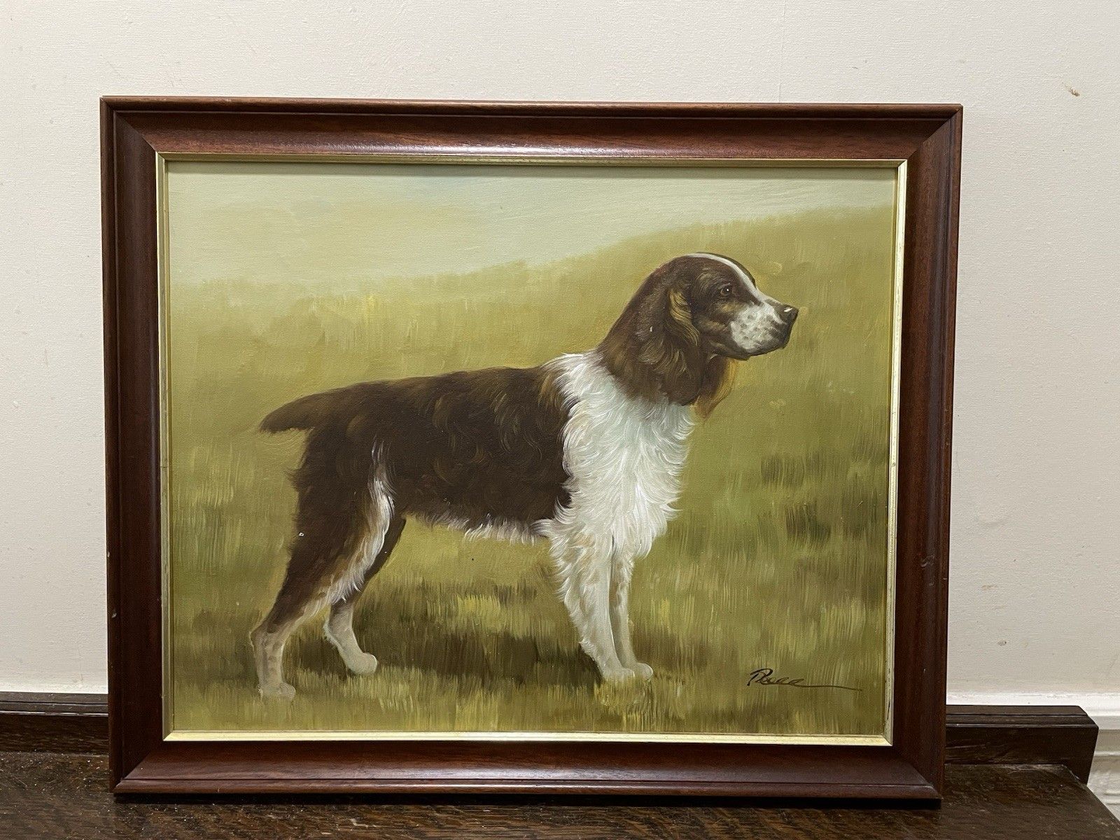Vintage Oil Painting Cocker Spaniel Dog Framed On Canvas Mid Century