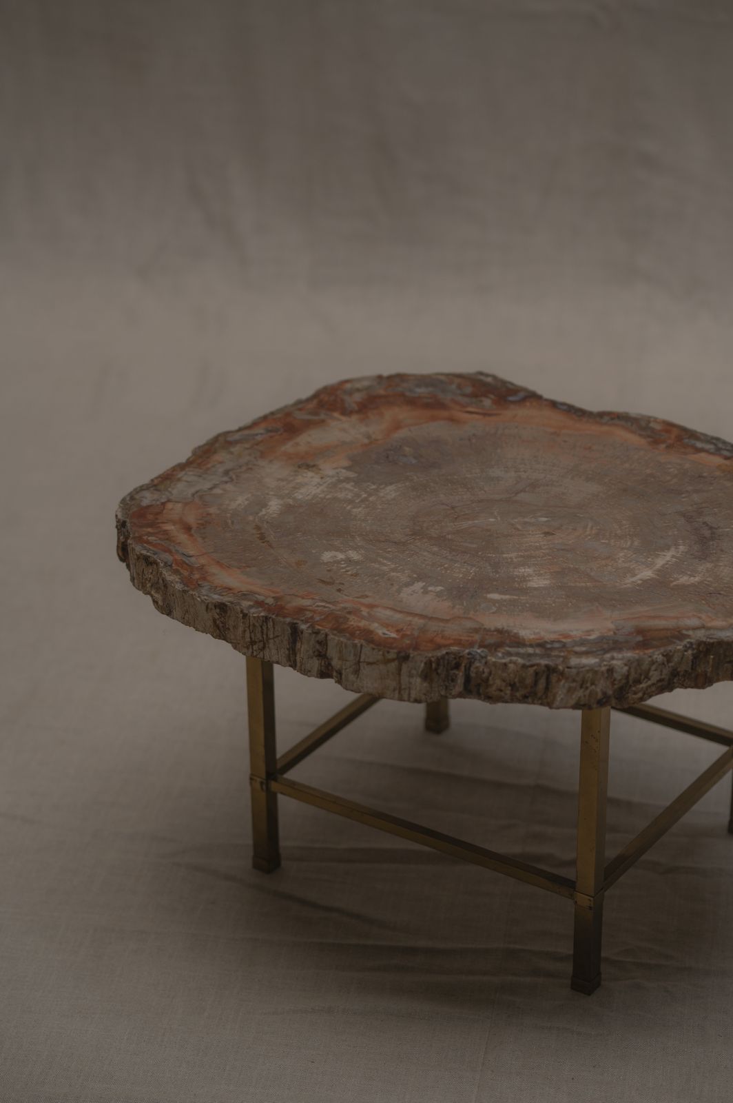 Rare Petrified Wood Coffee Table   1970s photo for sale