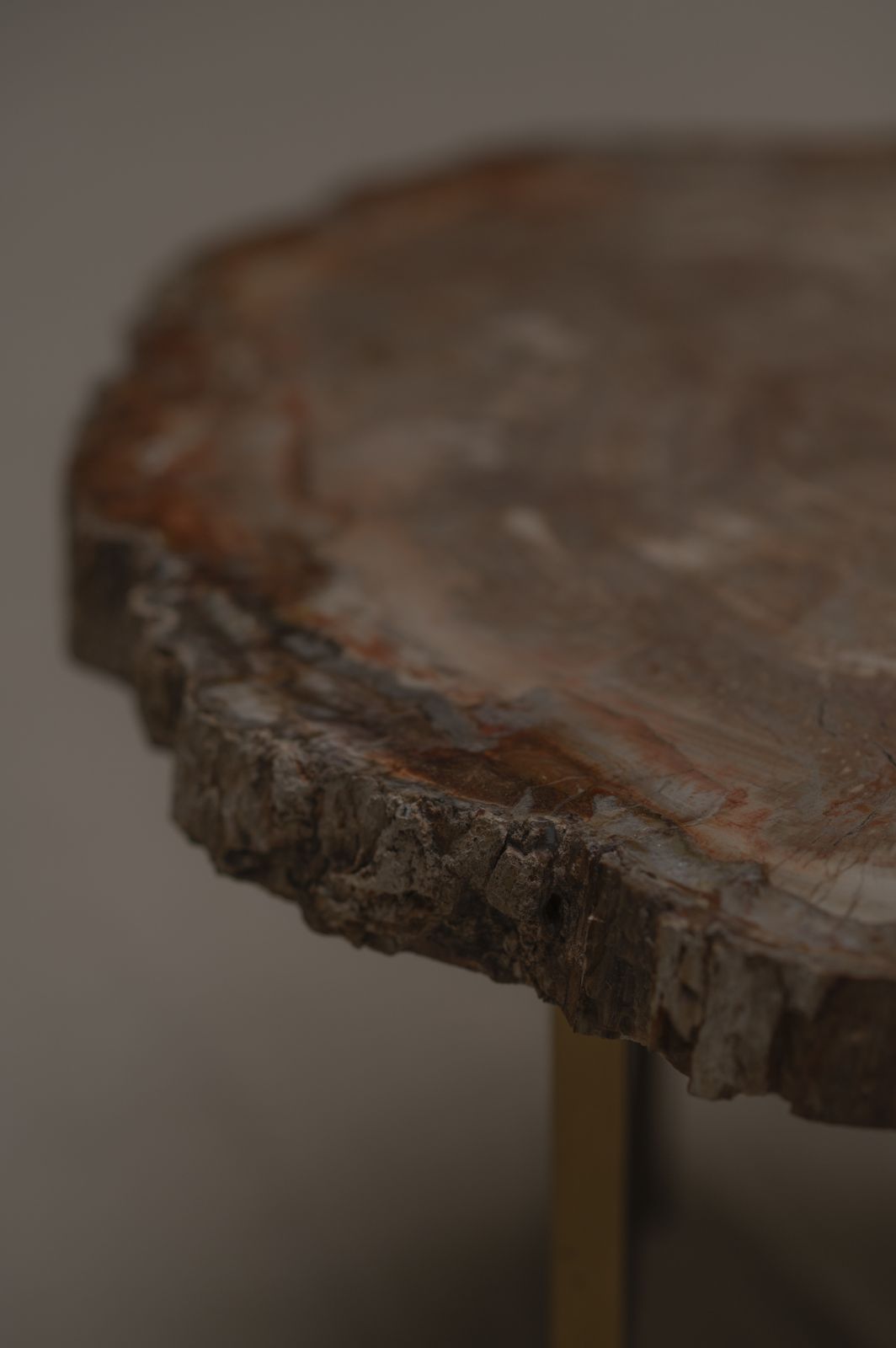 photo furniture Rare Petrified Wood Coffee Table   1970s