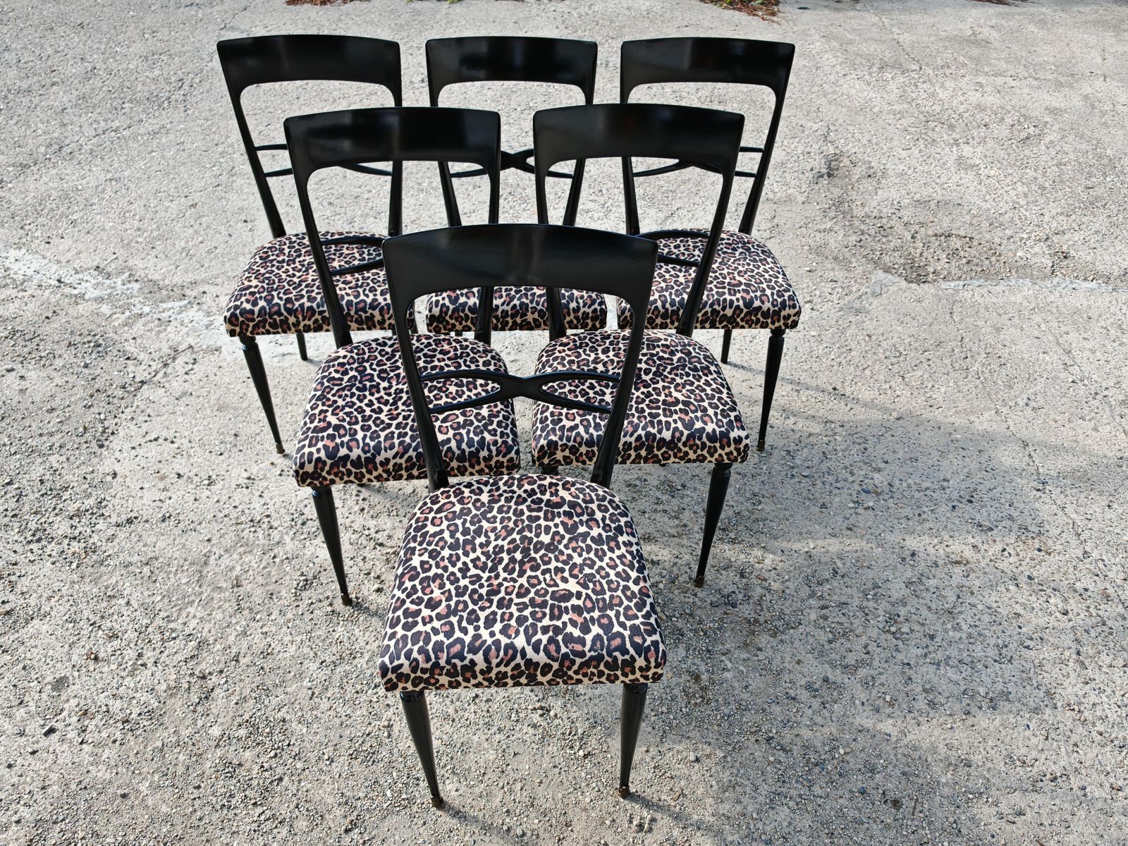 Set Of 6 Mid Century Dining Chairs In Black Lacquer And Leopard Print Plush photo furniture