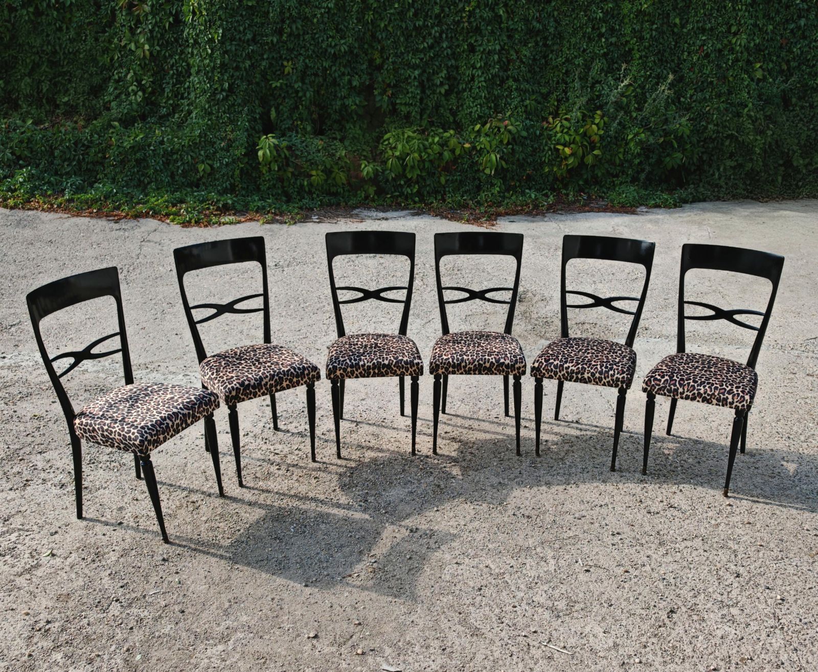 Set Of 6 Mid Century Dining Chairs In Black Lacquer And Leopard Print Plush photo for sale