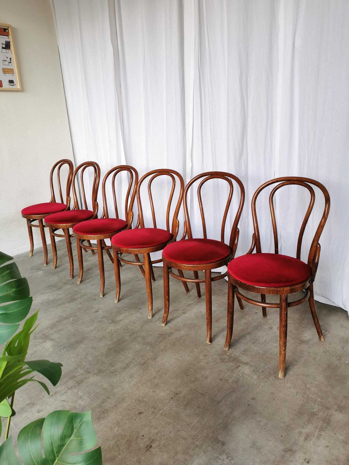 Vintage Bentwood Dining Chairs Set: 1970s Thonet Style, Red Upholstery