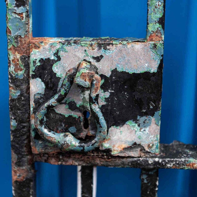 Antique Wrought Iron Gate With Spikes photo 650.0