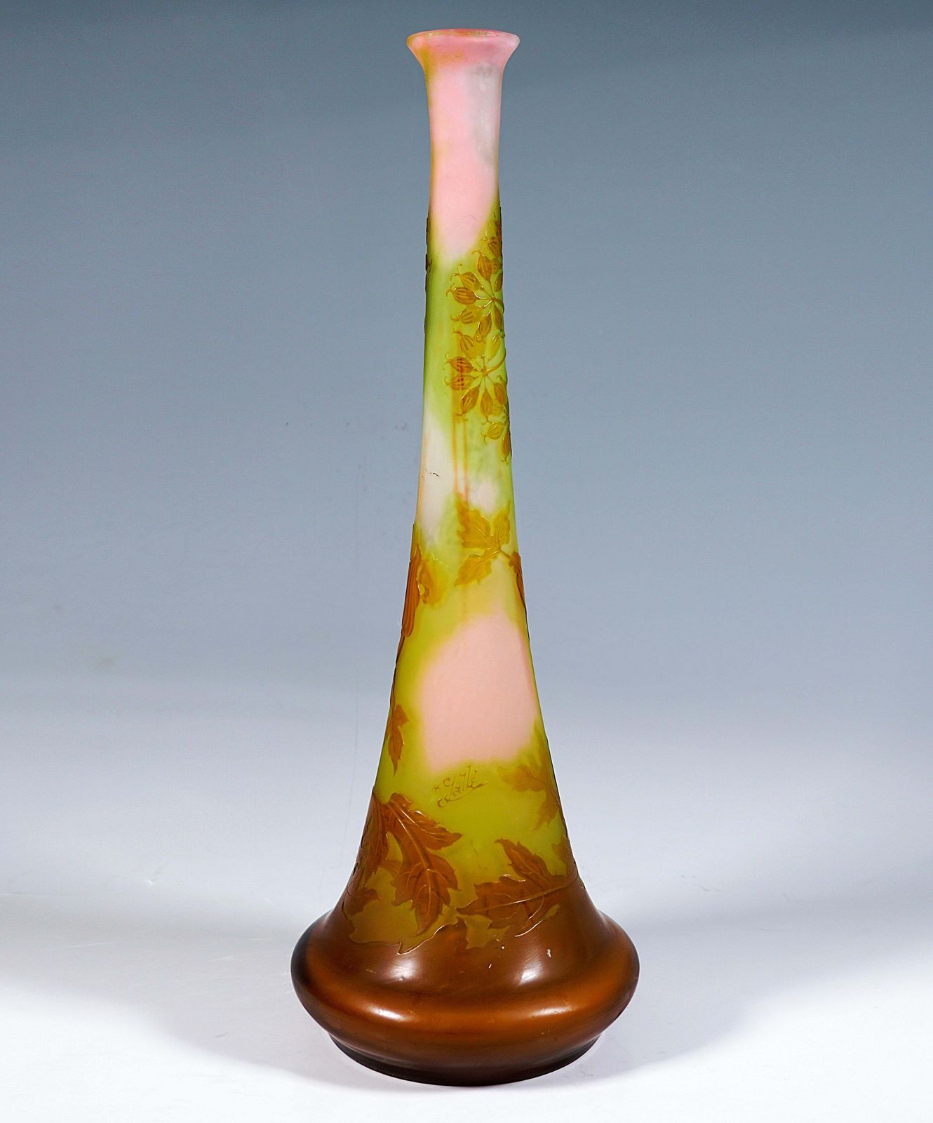 Large émile Gallé Art Nouveau Cameo Vase, Umbellifers Decor, France, Circa 1904 photo for sale