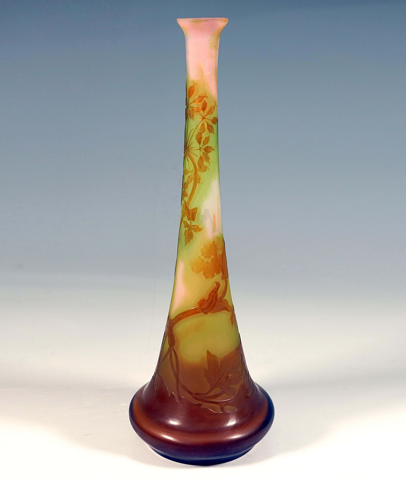 Large émile Gallé Art Nouveau Cameo Vase, Umbellifers Decor, France, Circa 1904 photo 3314.0