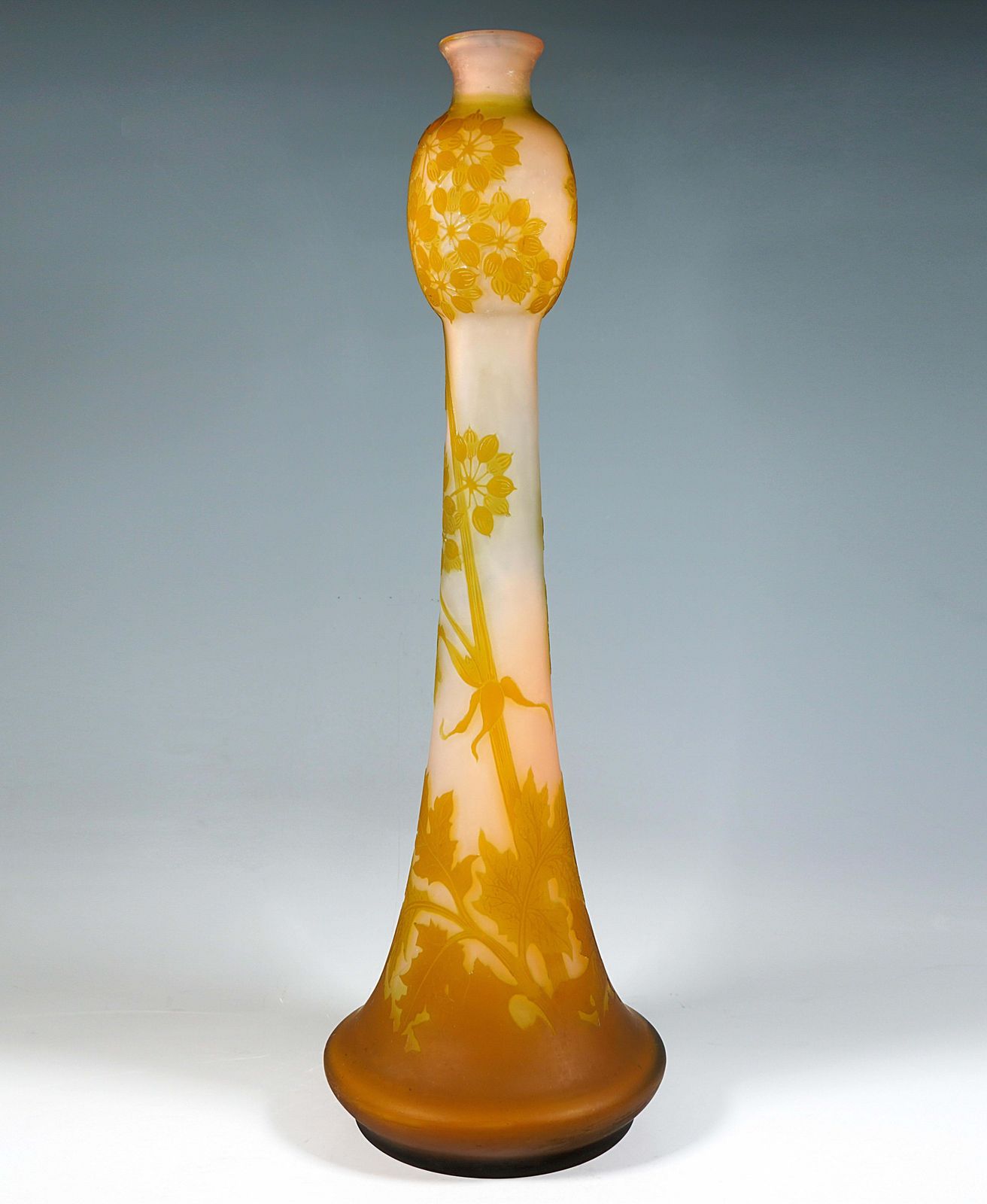 Large émile Gallé Art Nouveau Cameo Vase, Umbellifers Decor, France, Circa 1904 photo furniture